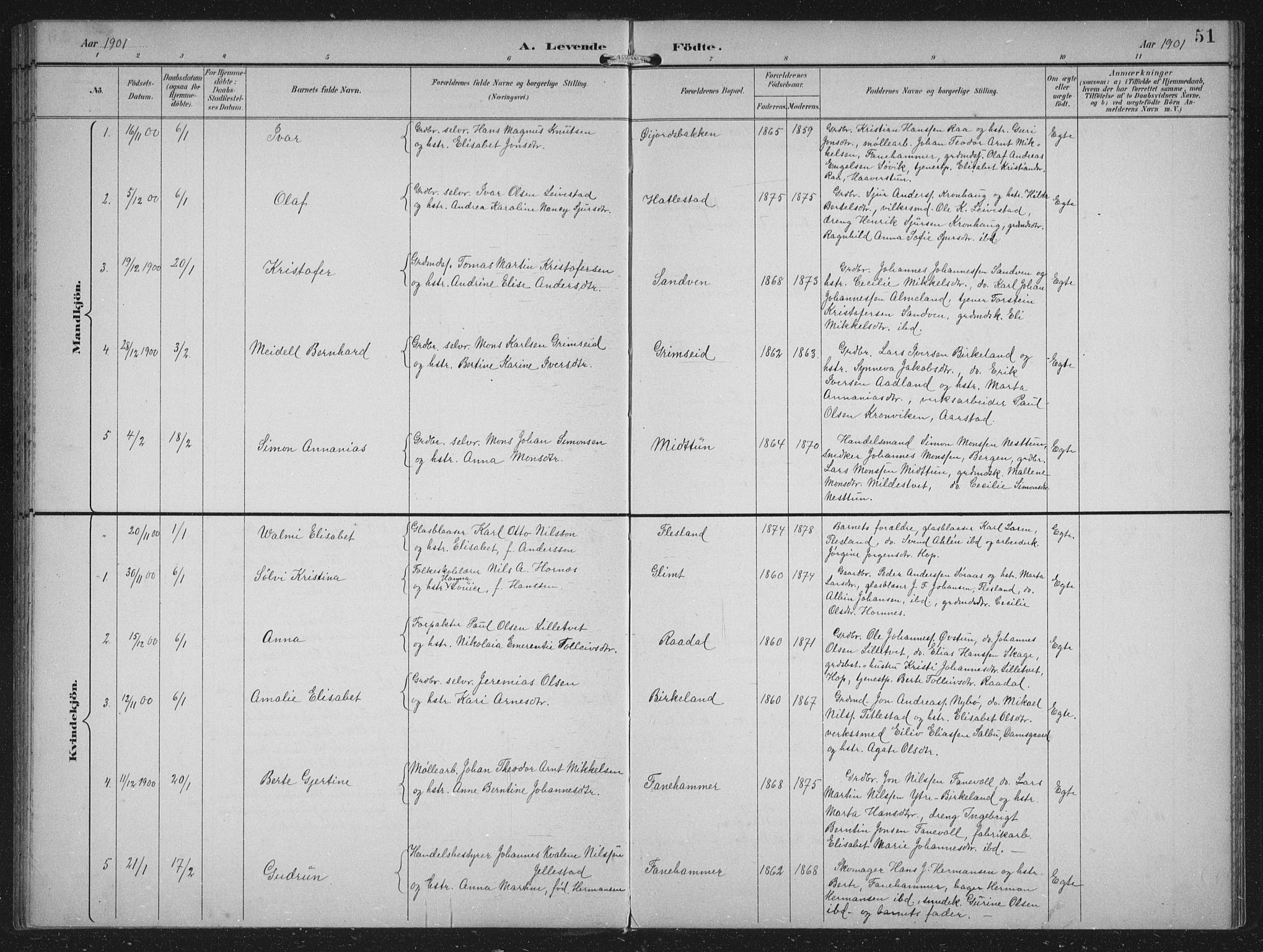 Fana Sokneprestembete, SAB/A-75101/H/Hab/Haba/L0003: Parish register (copy) no. A 3, 1895-1902, p. 51