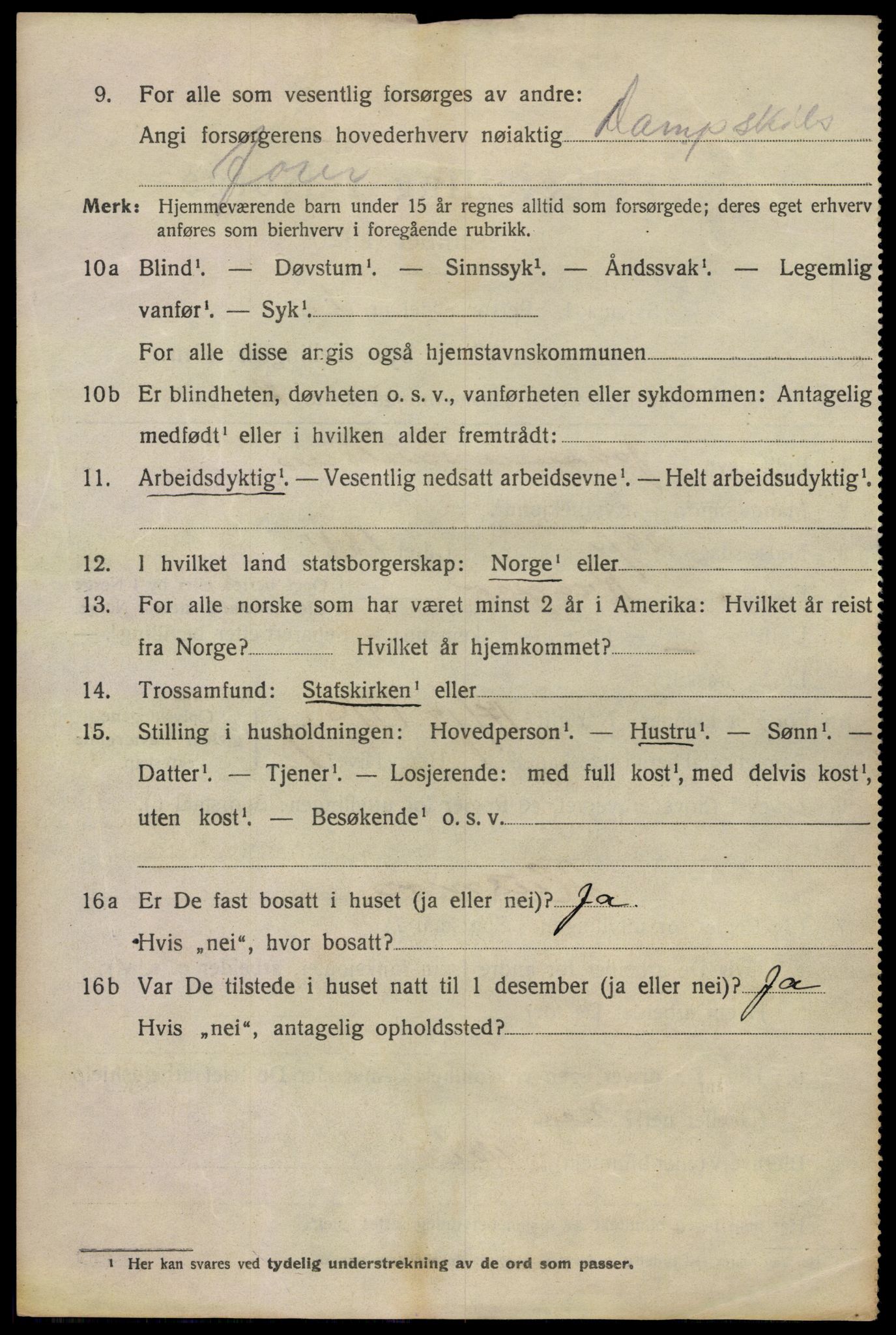 SAKO, 1920 census for Kragerø, 1920, p. 13024