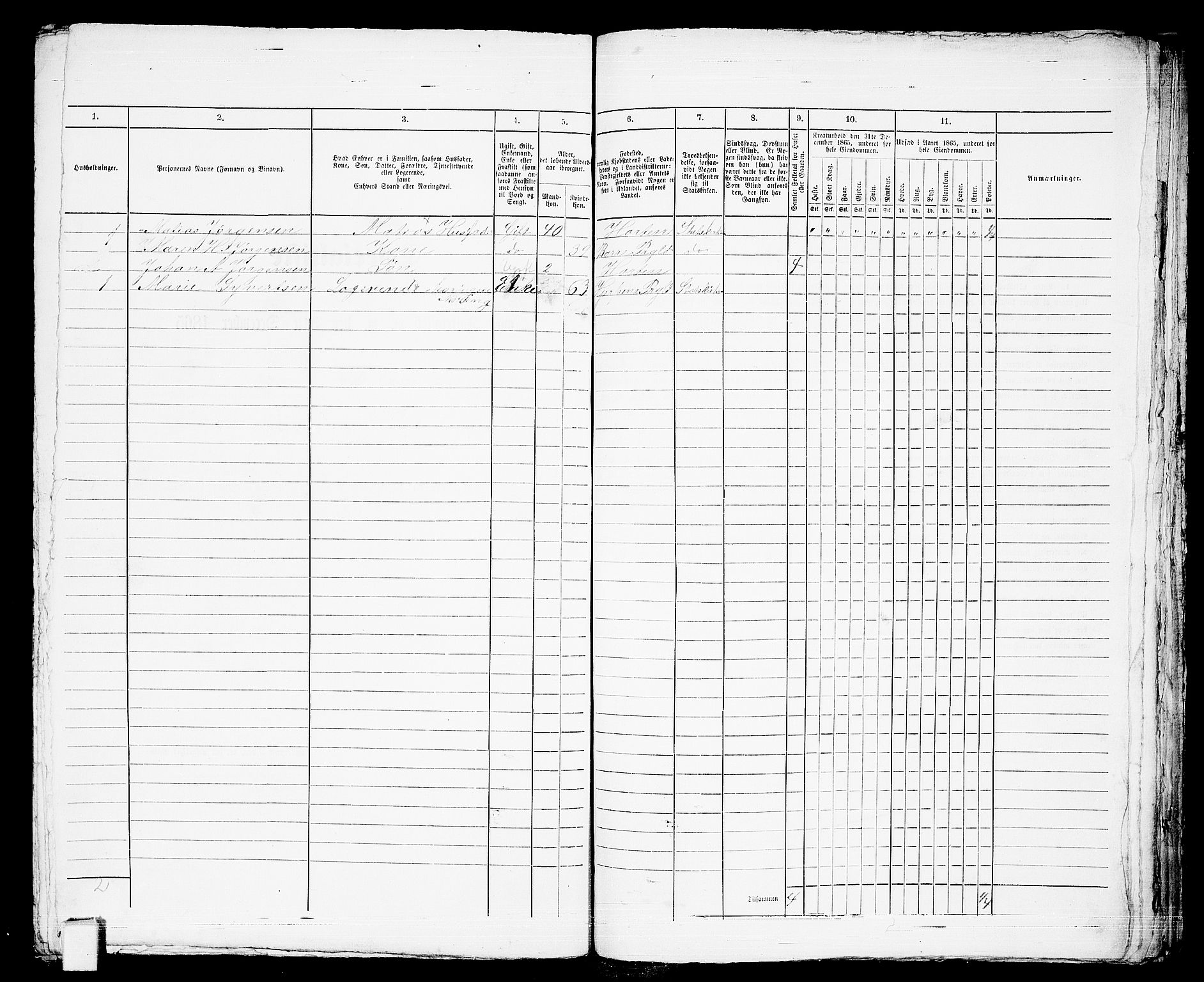 RA, 1865 census for Horten, 1865, p. 790