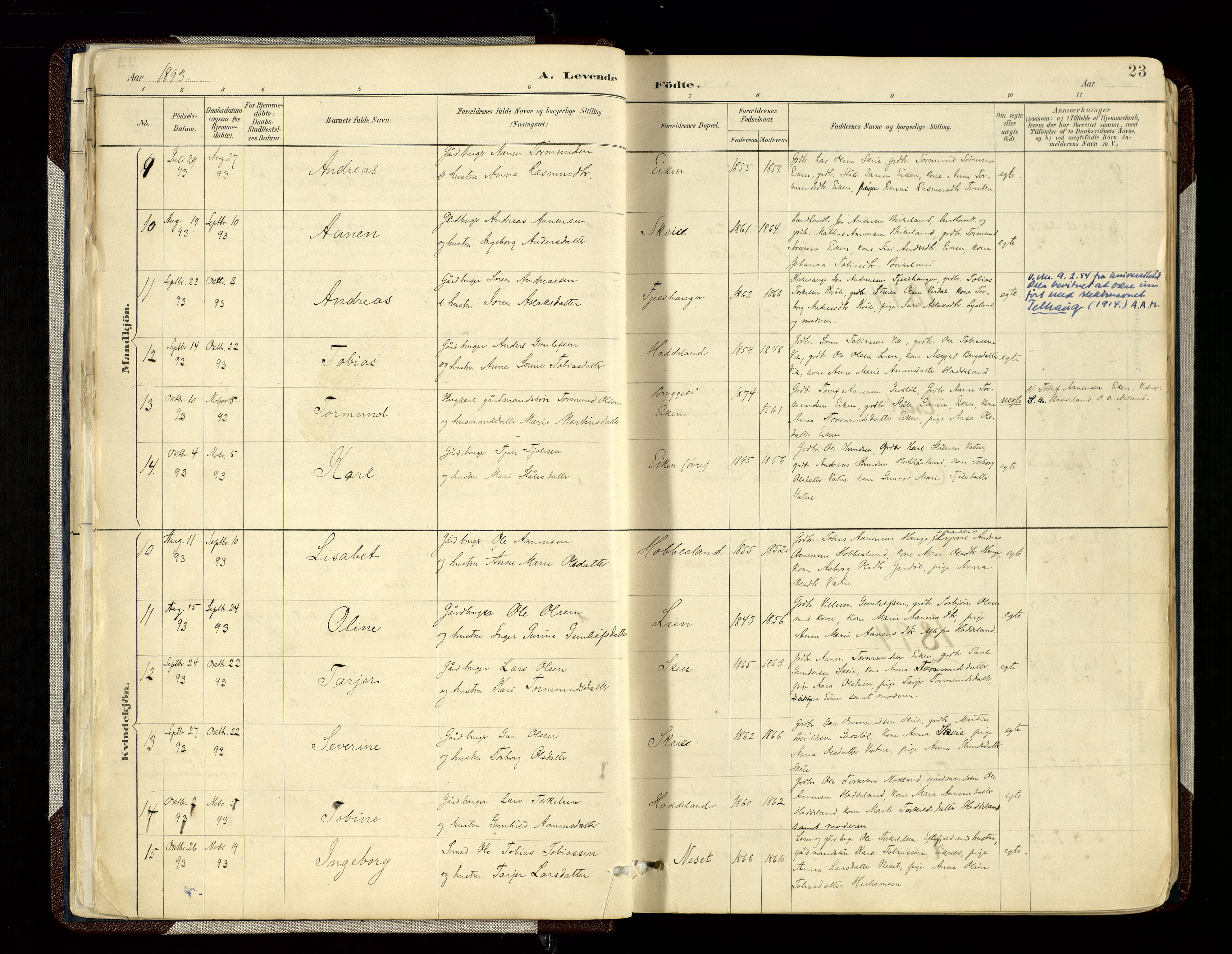 Hægebostad sokneprestkontor, SAK/1111-0024/F/Fa/Fab/L0004: Parish register (official) no. A 4, 1887-1929, p. 23