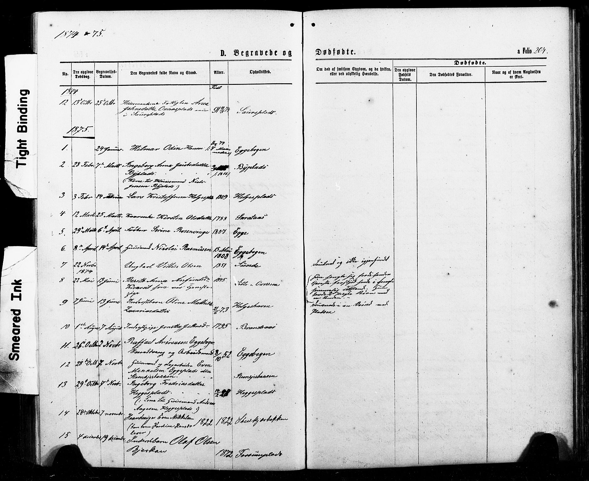 Ministerialprotokoller, klokkerbøker og fødselsregistre - Nord-Trøndelag, SAT/A-1458/740/L0380: Parish register (copy) no. 740C01, 1868-1902, p. 204