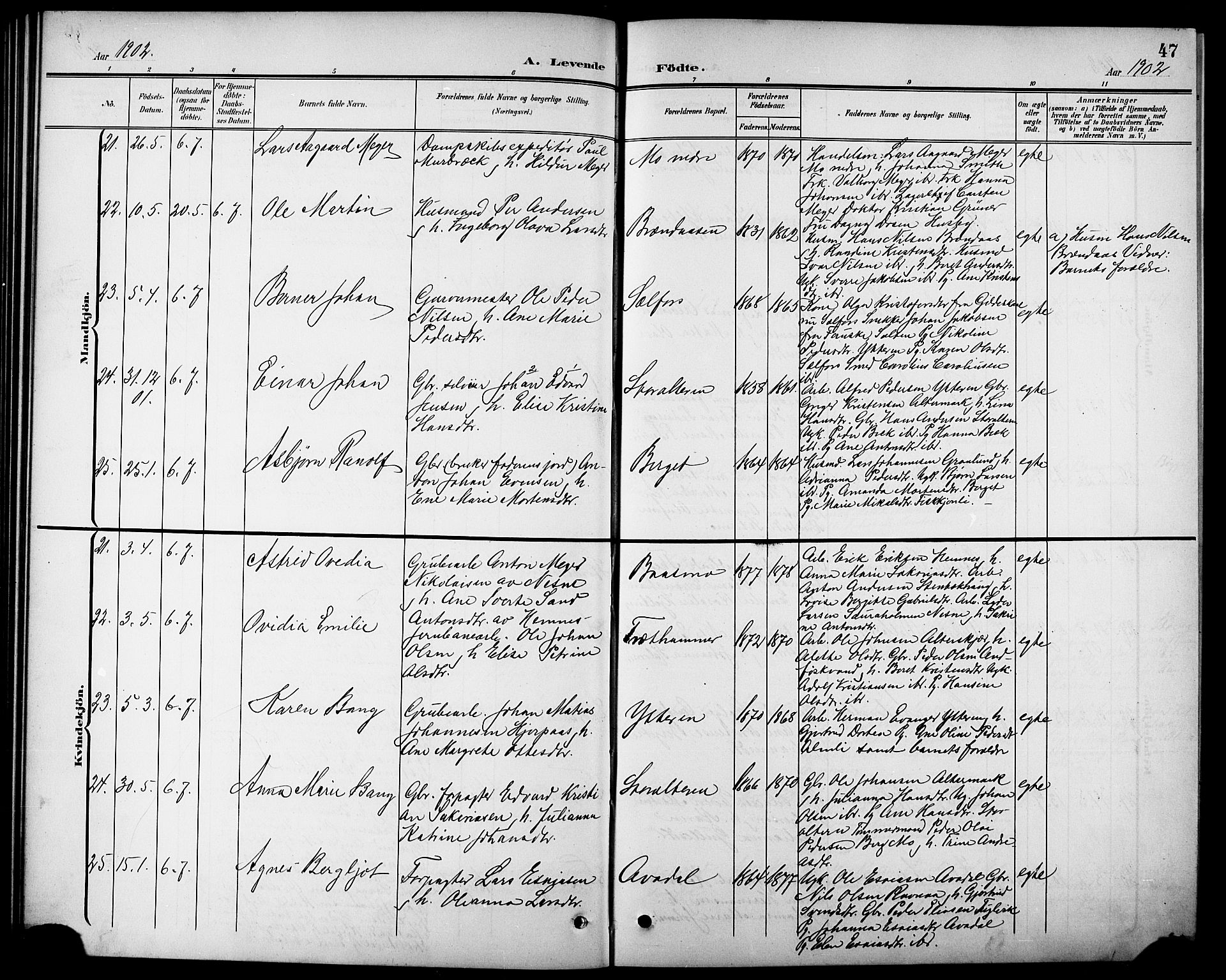 Ministerialprotokoller, klokkerbøker og fødselsregistre - Nordland, AV/SAT-A-1459/827/L0422: Parish register (copy) no. 827C11, 1899-1912, p. 47