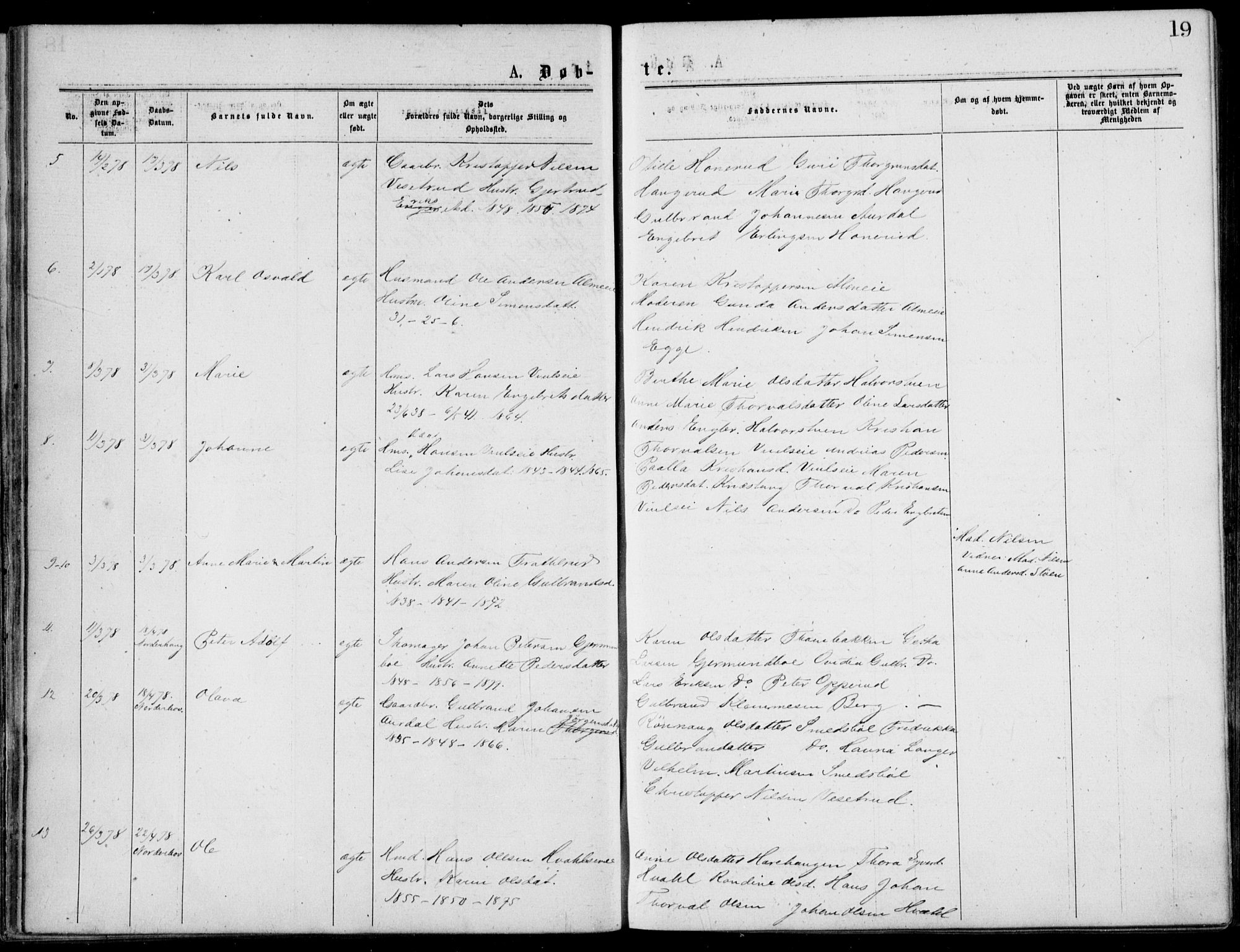 Norderhov kirkebøker, AV/SAKO-A-237/G/Gb/L0001: Parish register (copy) no. II 1, 1876-1899, p. 19