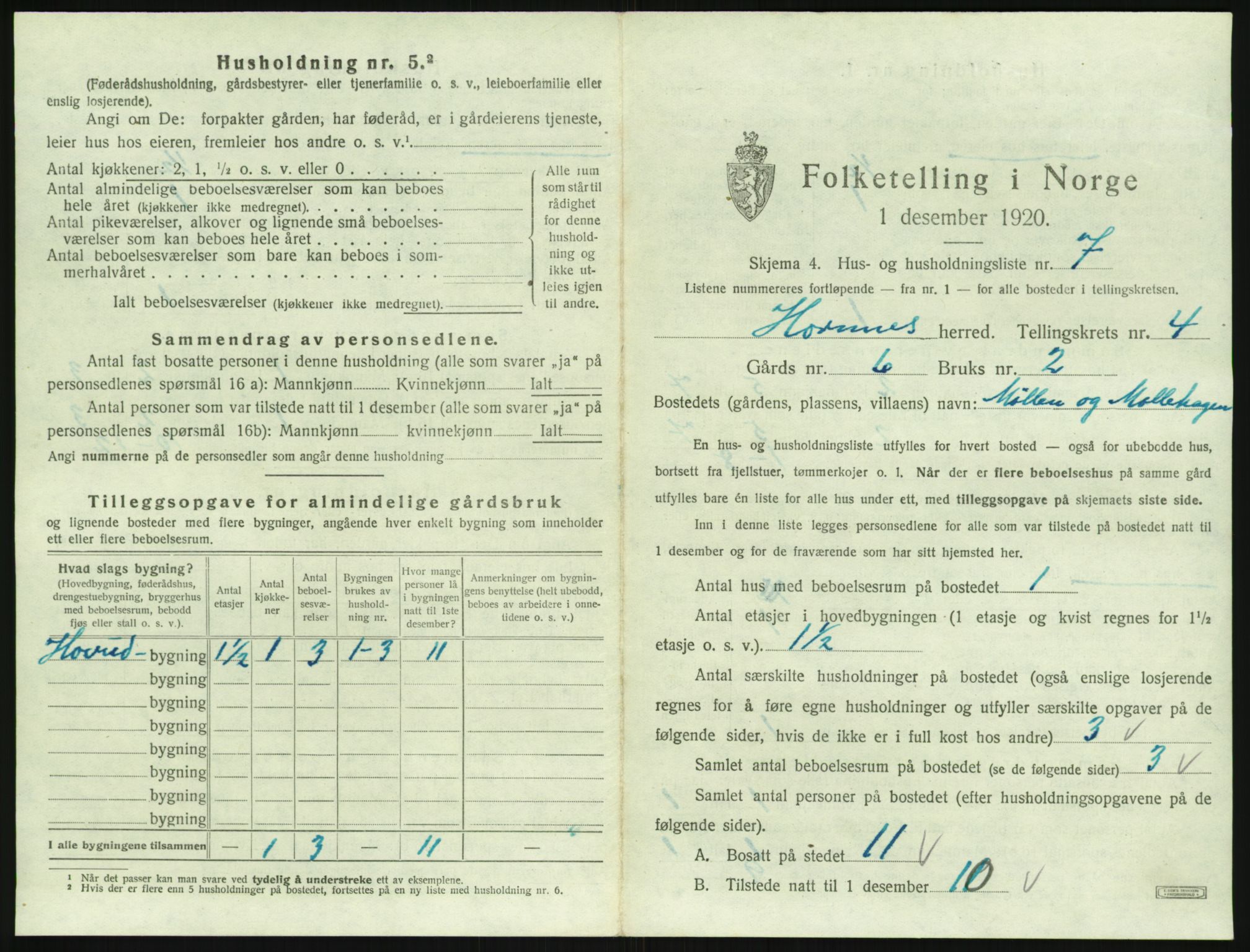 SAK, 1920 census for Hornnes, 1920, p. 185