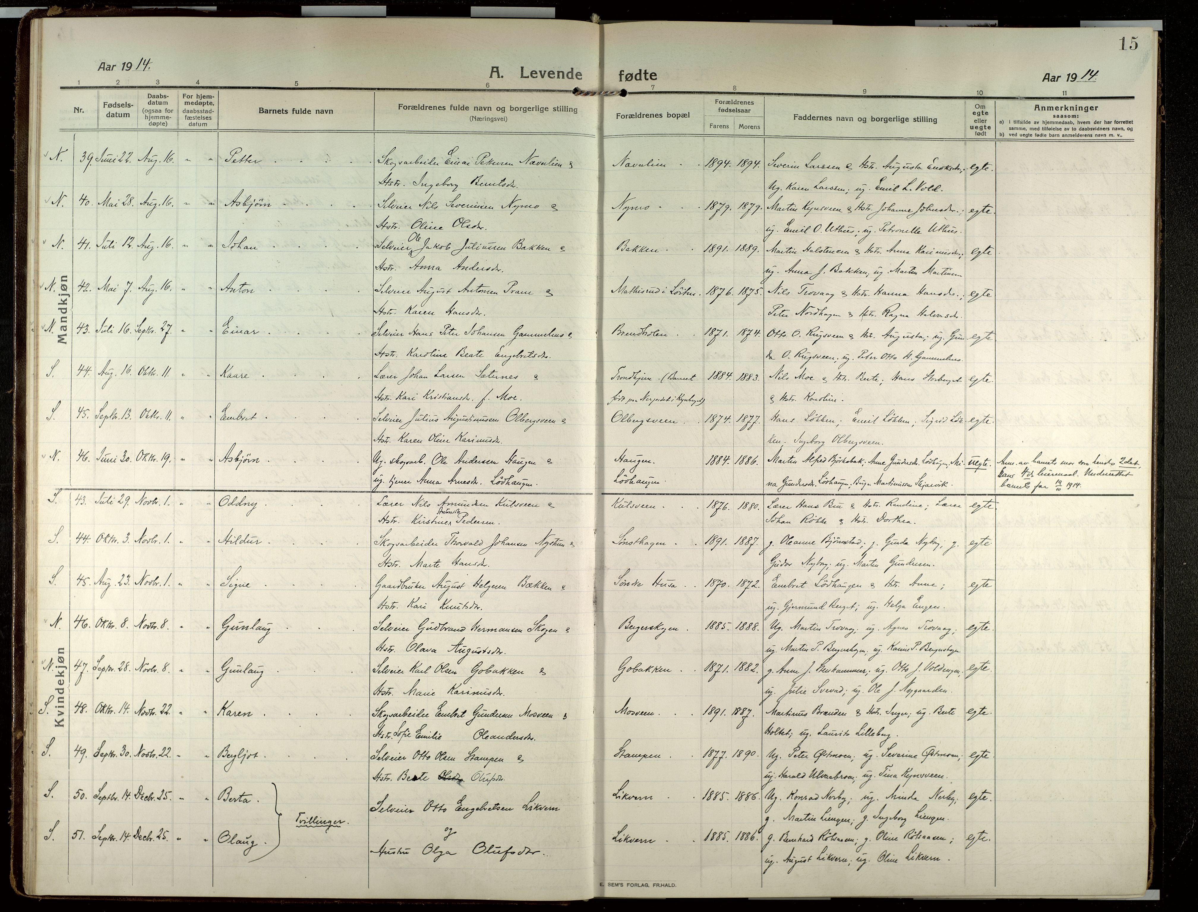 Elverum prestekontor, AV/SAH-PREST-044/H/Ha/Haa/L0022: Parish register (official) no. 22, 1913-1924, p. 15