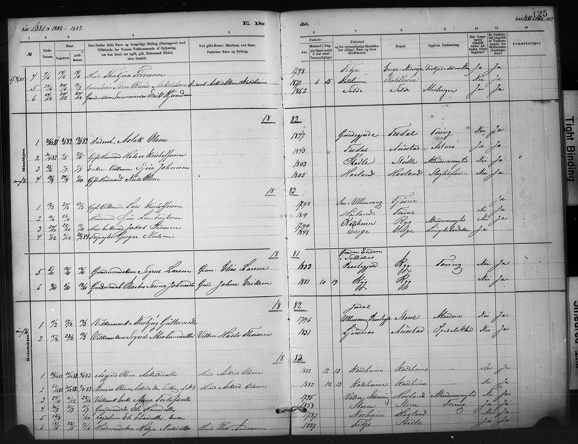 Etne sokneprestembete, SAB/A-75001/H/Hab: Parish register (copy) no. A 5, 1879-1896, p. 125