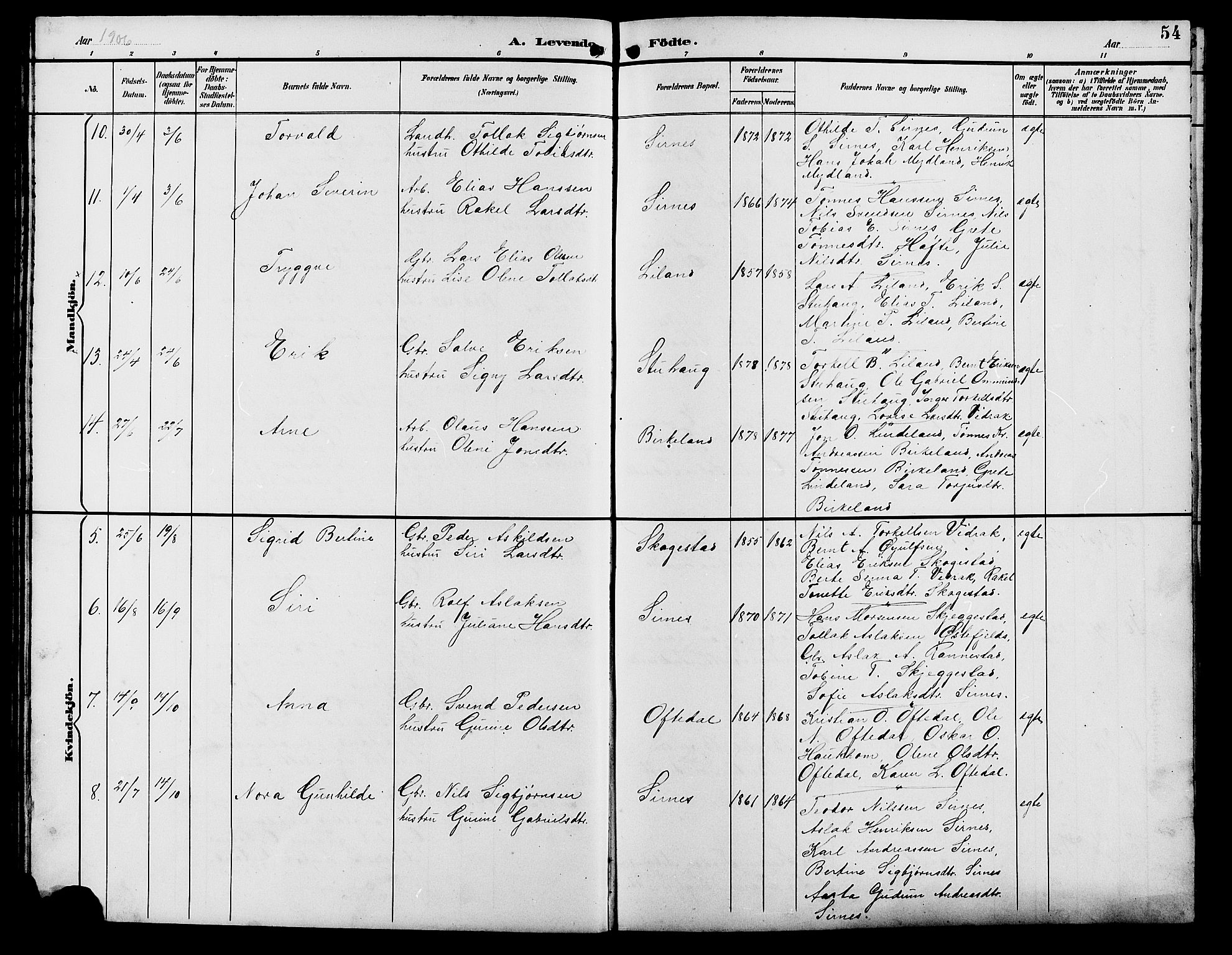 Bakke sokneprestkontor, AV/SAK-1111-0002/F/Fb/Fba/L0003: Parish register (copy) no. B 3, 1894-1910, p. 54