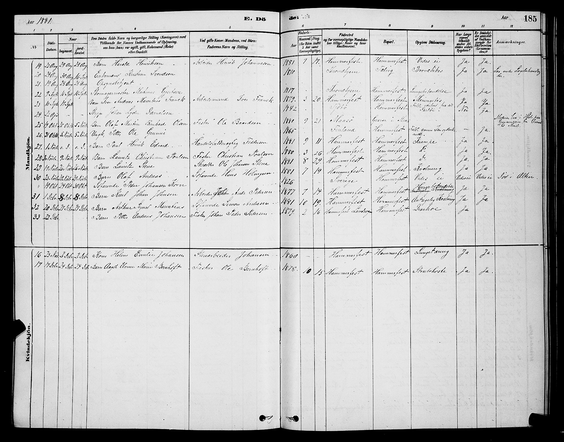 Hammerfest sokneprestkontor, AV/SATØ-S-1347/H/Hb/L0006.klokk: Parish register (copy) no. 6, 1876-1884, p. 185