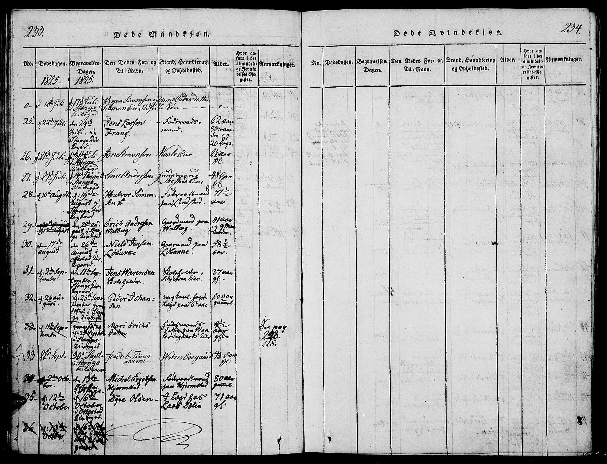 Stange prestekontor, AV/SAH-PREST-002/K/L0008: Parish register (official) no. 8, 1814-1825, p. 233-234