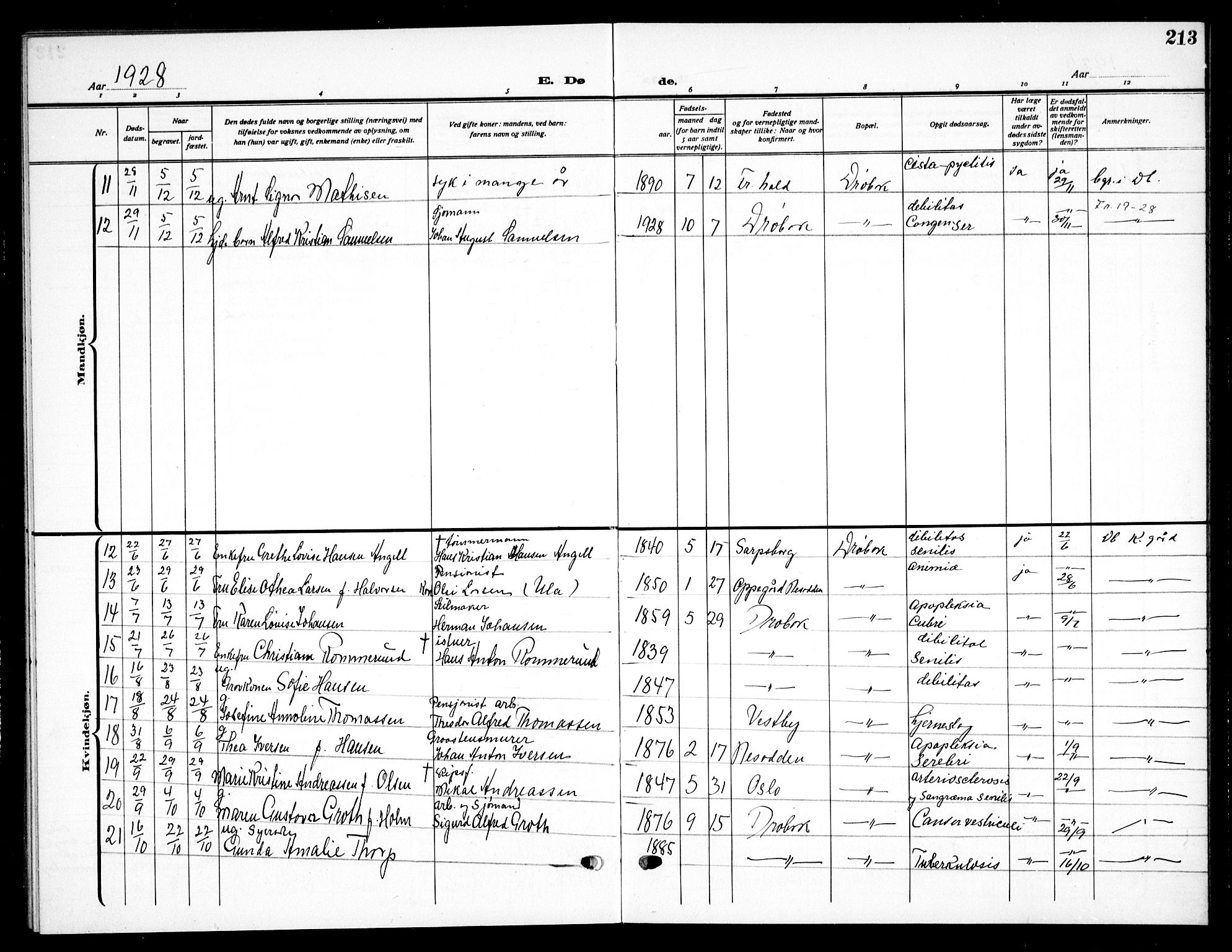 Drøbak prestekontor Kirkebøker, SAO/A-10142a/G/Ga/L0002: Parish register (copy) no. I 2, 1917-1932, p. 213