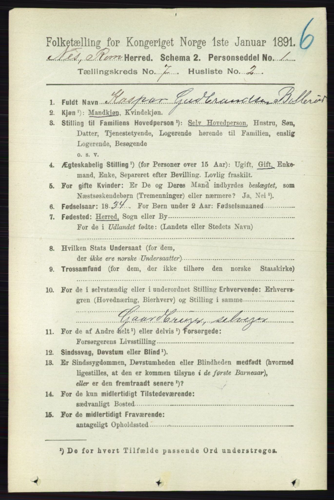 RA, 1891 census for 0236 Nes, 1891, p. 4025