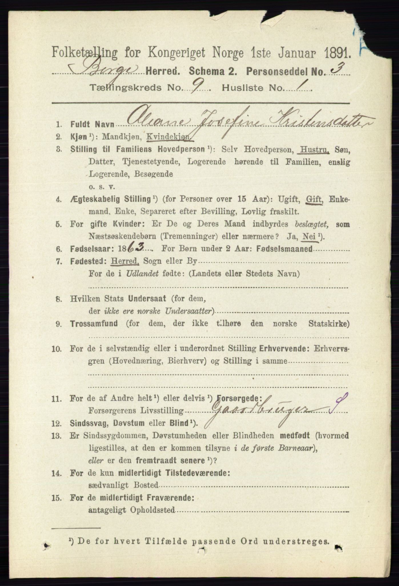 RA, 1891 census for 0113 Borge, 1891, p. 5758