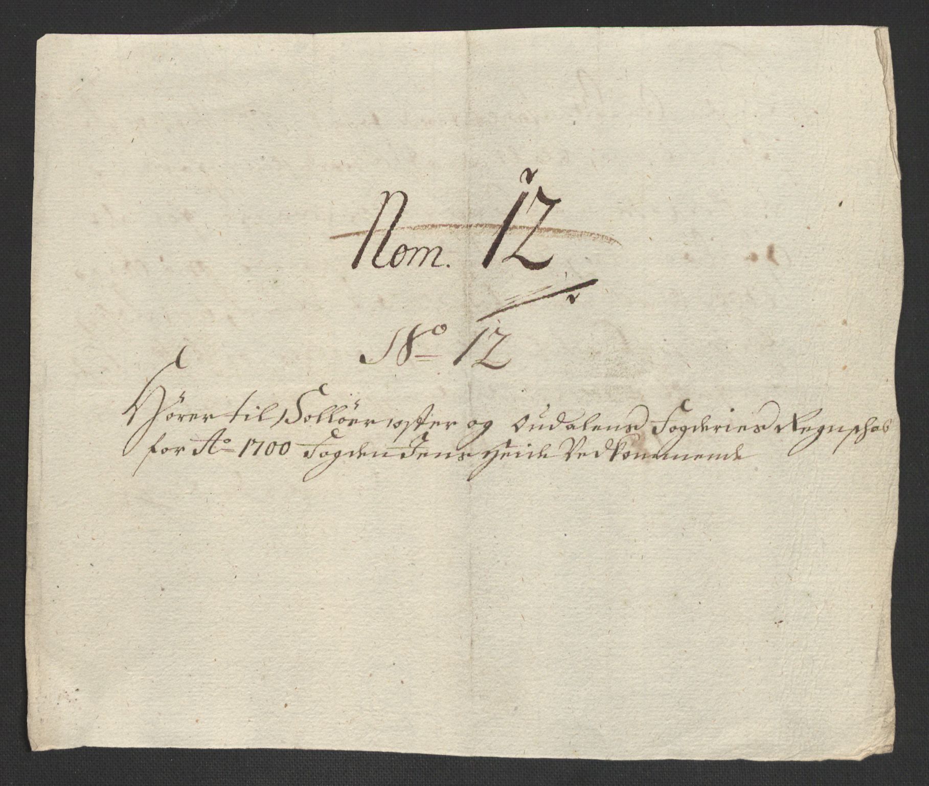 Rentekammeret inntil 1814, Reviderte regnskaper, Fogderegnskap, RA/EA-4092/R13/L0838: Fogderegnskap Solør, Odal og Østerdal, 1700, p. 206