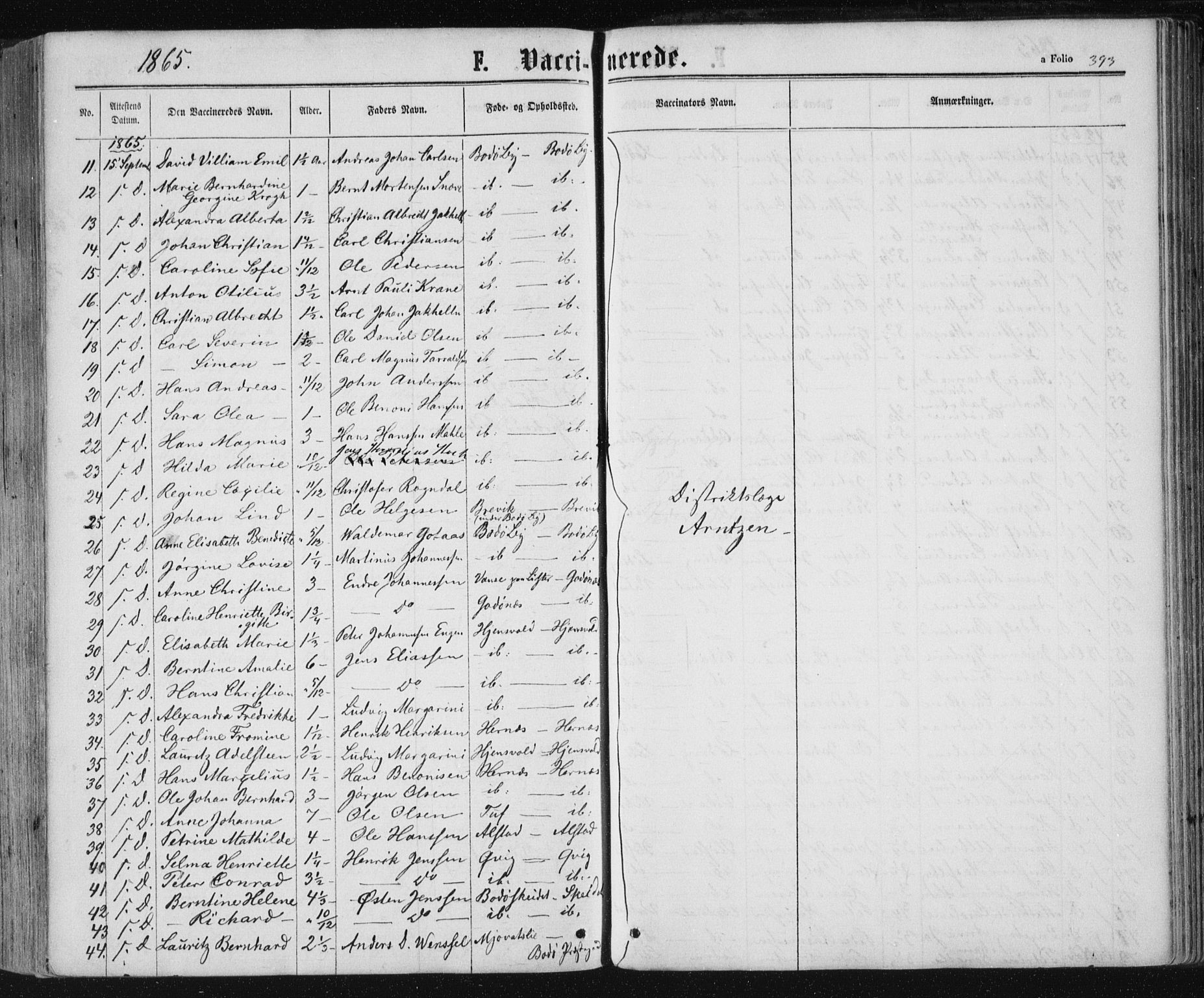Ministerialprotokoller, klokkerbøker og fødselsregistre - Nordland, SAT/A-1459/801/L0008: Parish register (official) no. 801A08, 1864-1875, p. 393