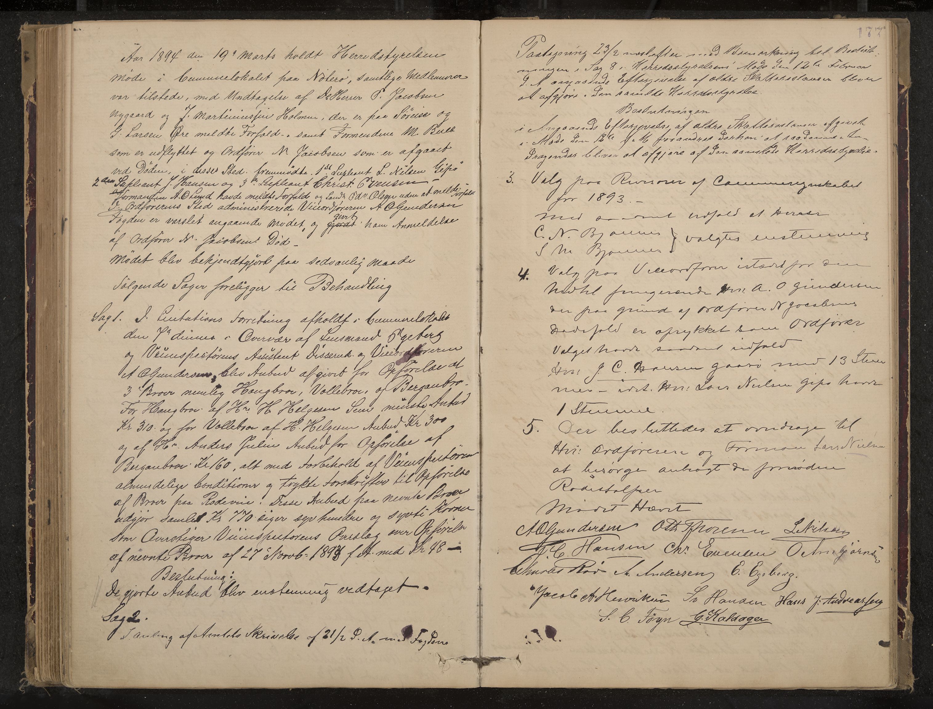 Nøtterøy formannskap og sentraladministrasjon, IKAK/0722021-1/A/Aa/L0004: Møtebok, 1887-1896, p. 177