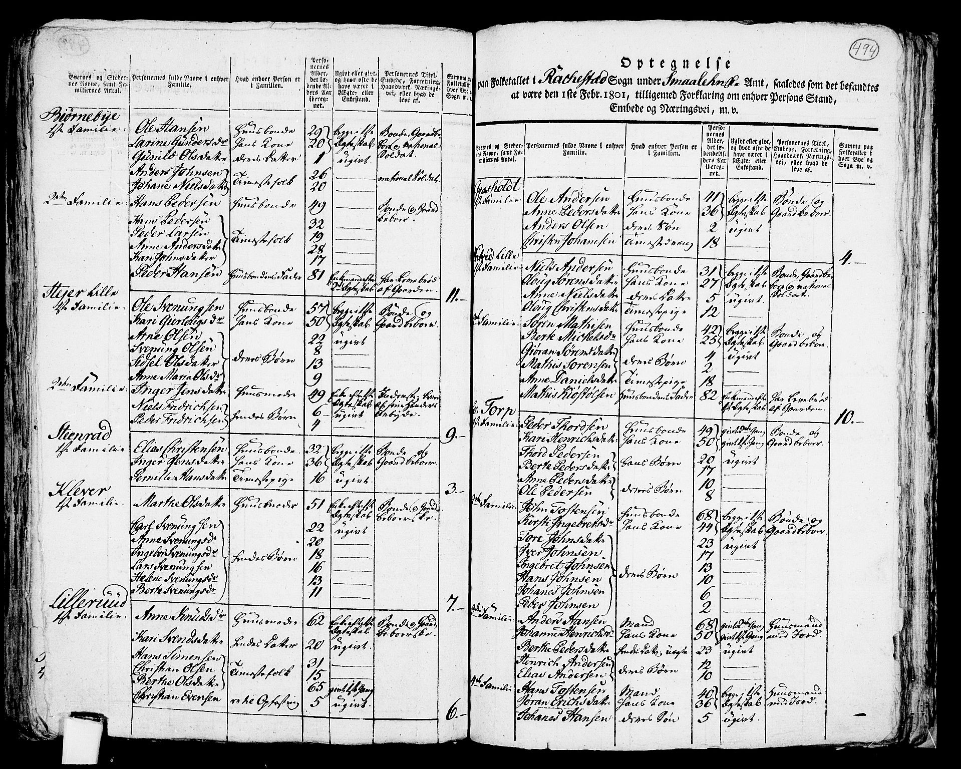 RA, 1801 census for 0128P Rakkestad, 1801, p. 493b-494a