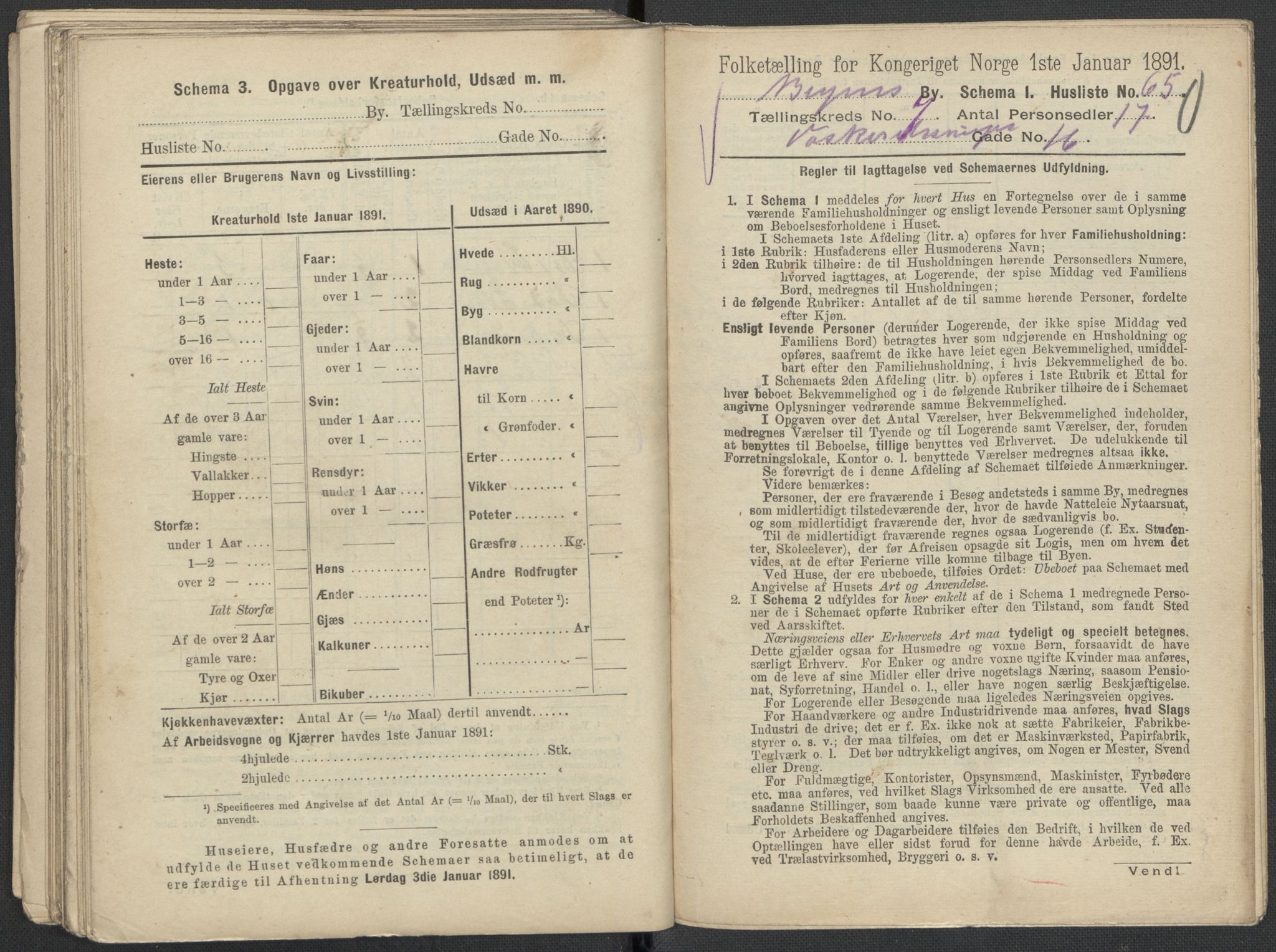 RA, 1891 Census for 1301 Bergen, 1891, p. 1332