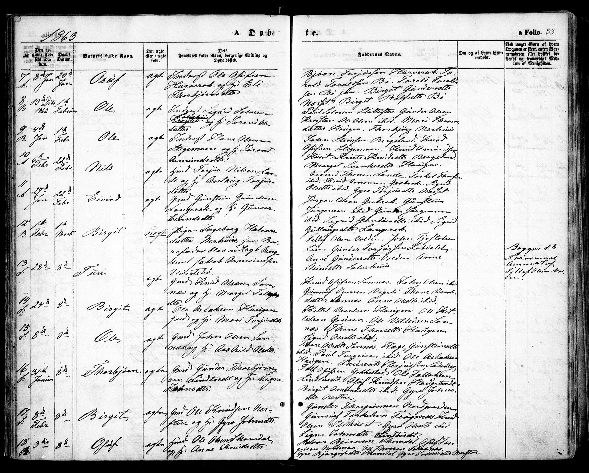 Bygland sokneprestkontor, AV/SAK-1111-0006/F/Fa/Fab/L0005: Parish register (official) no. A 5, 1859-1873, p. 33