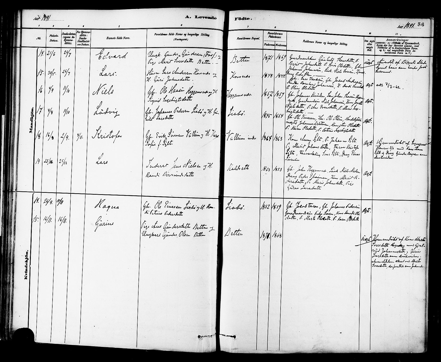 Ministerialprotokoller, klokkerbøker og fødselsregistre - Møre og Romsdal, AV/SAT-A-1454/576/L0885: Parish register (official) no. 576A03, 1880-1898, p. 56