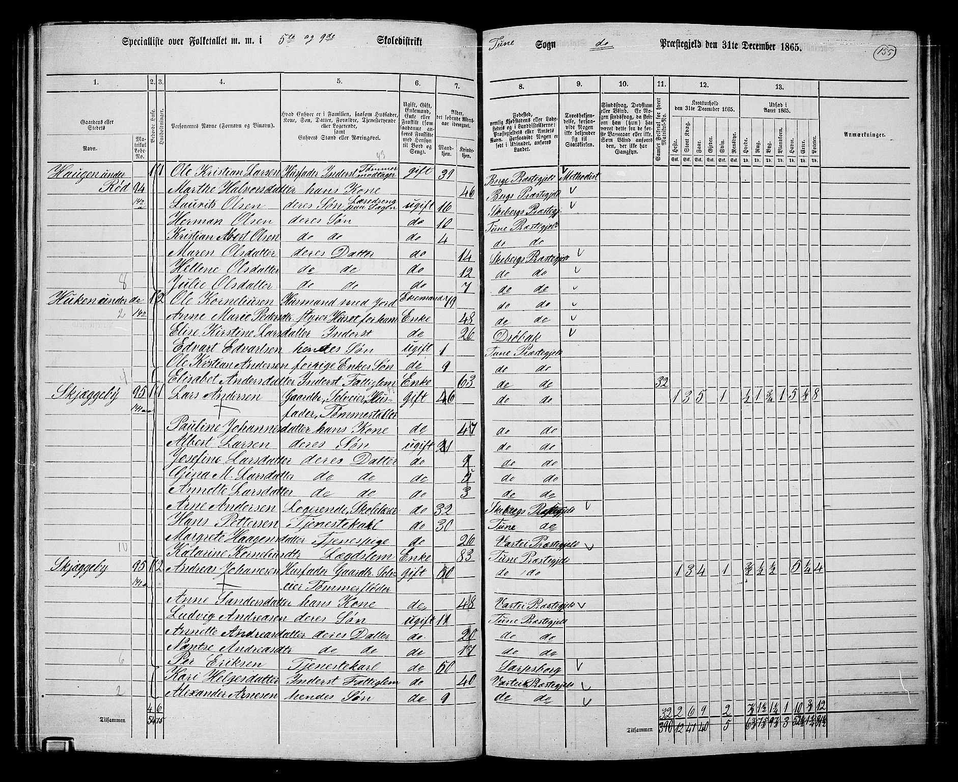 RA, 1865 census for Tune, 1865, p. 145