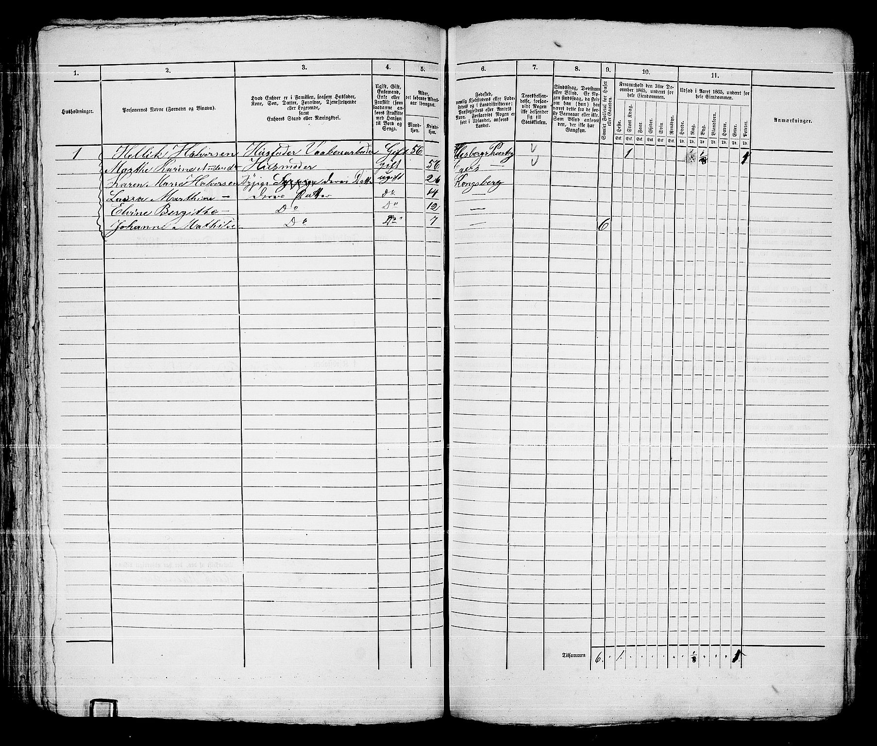 RA, 1865 census for Kongsberg/Kongsberg, 1865, p. 1185