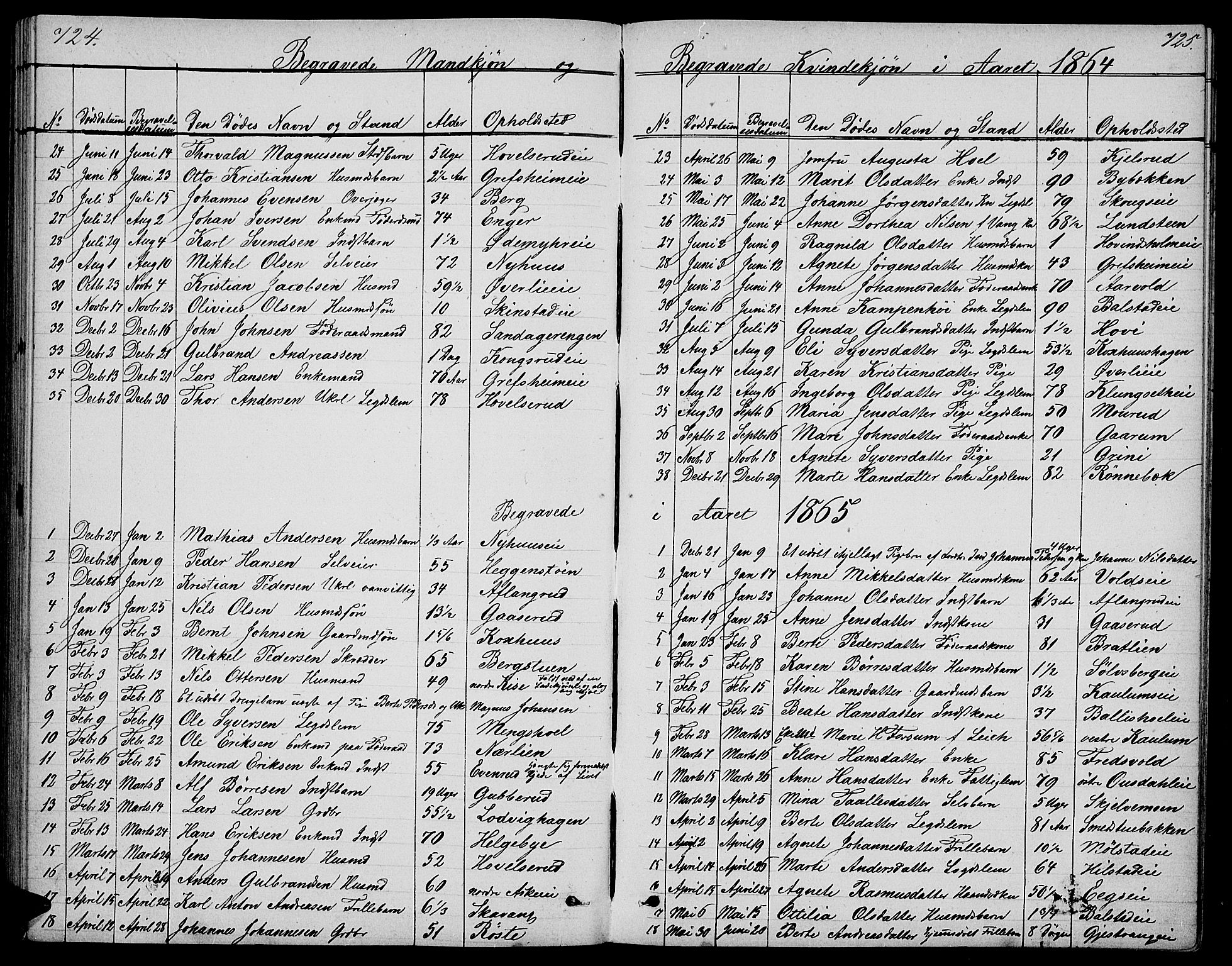 Nes prestekontor, Hedmark, SAH/PREST-020/L/La/L0005: Parish register (copy) no. 5, 1852-1889, p. 724-725