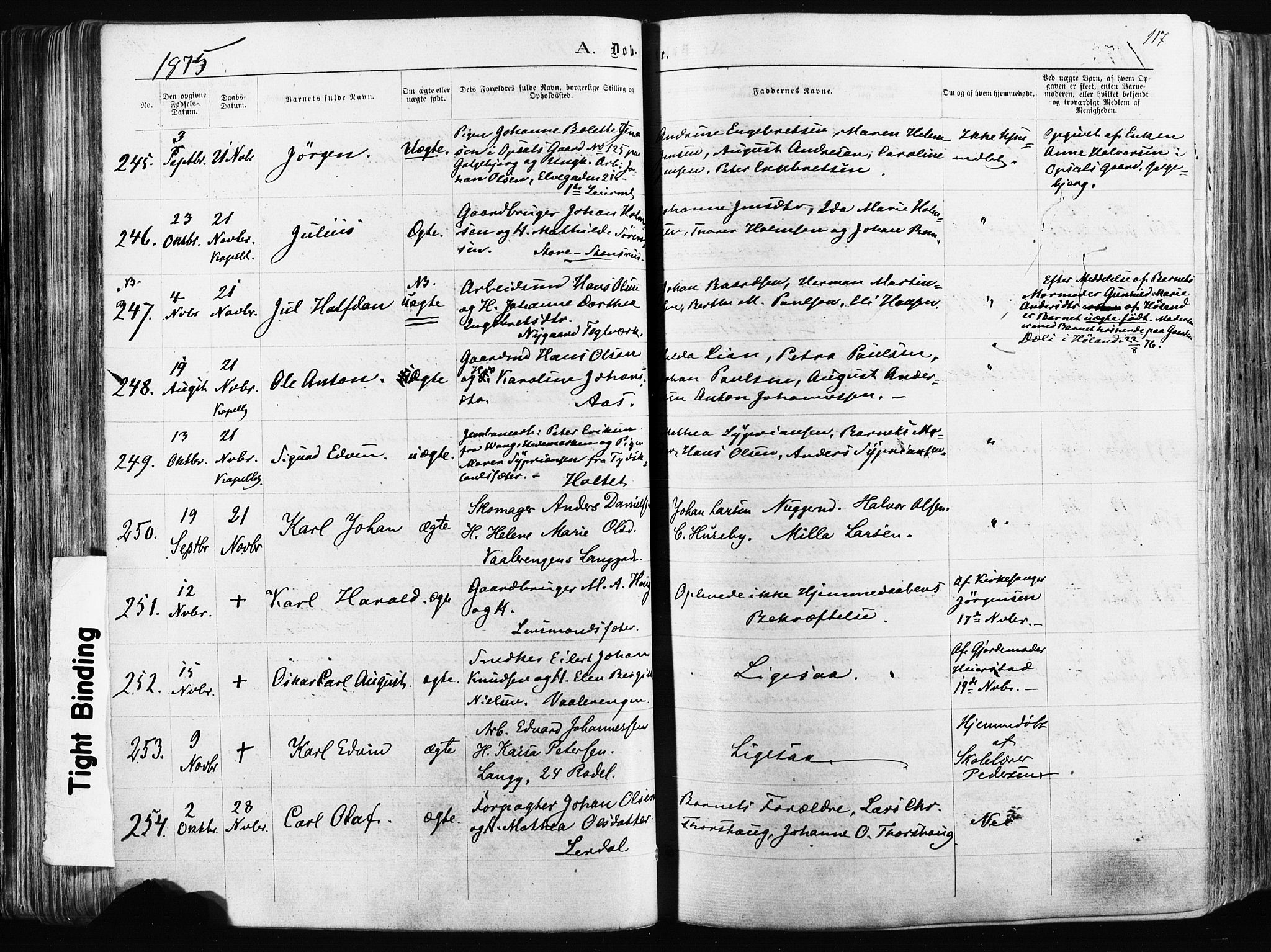 Østre Aker prestekontor Kirkebøker, AV/SAO-A-10840/F/Fa/L0003: Parish register (official) no. I 3, 1869-1875, p. 117