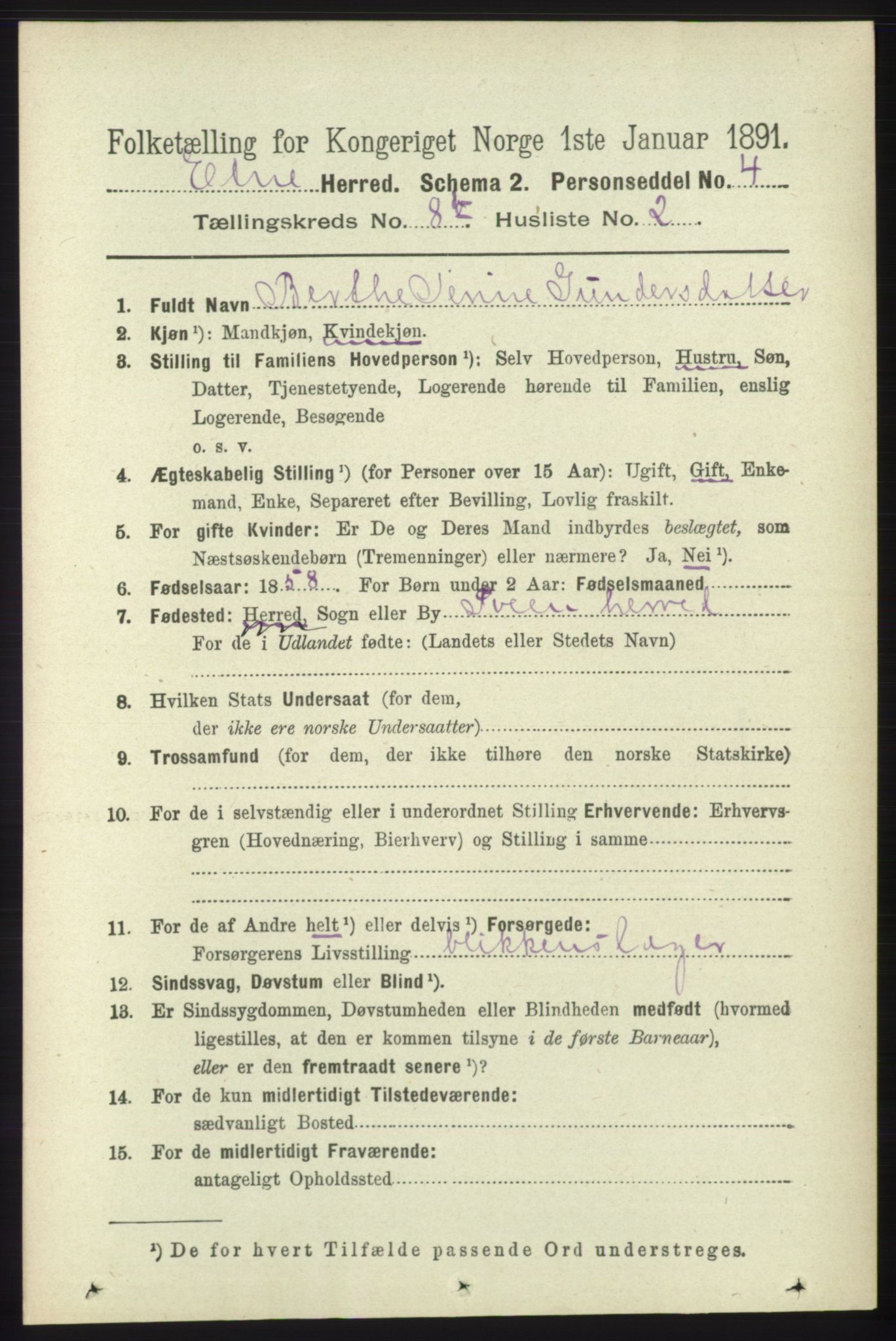 RA, 1891 census for 1211 Etne, 1891, p. 1623