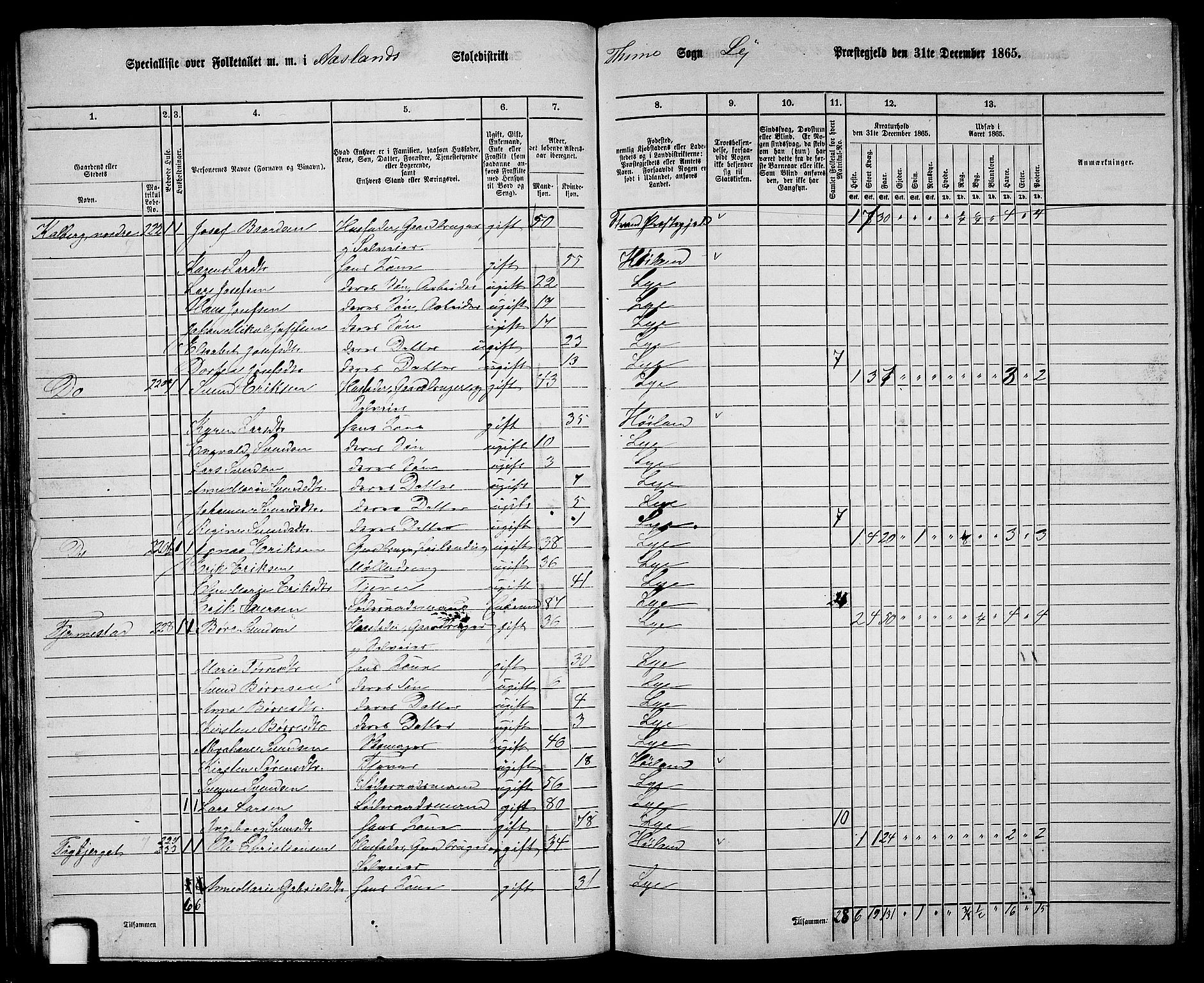 RA, 1865 census for Lye, 1865, p. 46