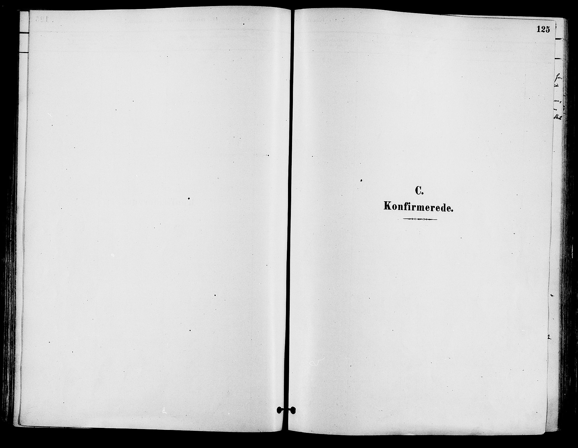Våler prestekontor, Hedmark, SAH/PREST-040/H/Ha/Haa/L0002: Parish register (official) no. 3, 1879-1911, p. 125