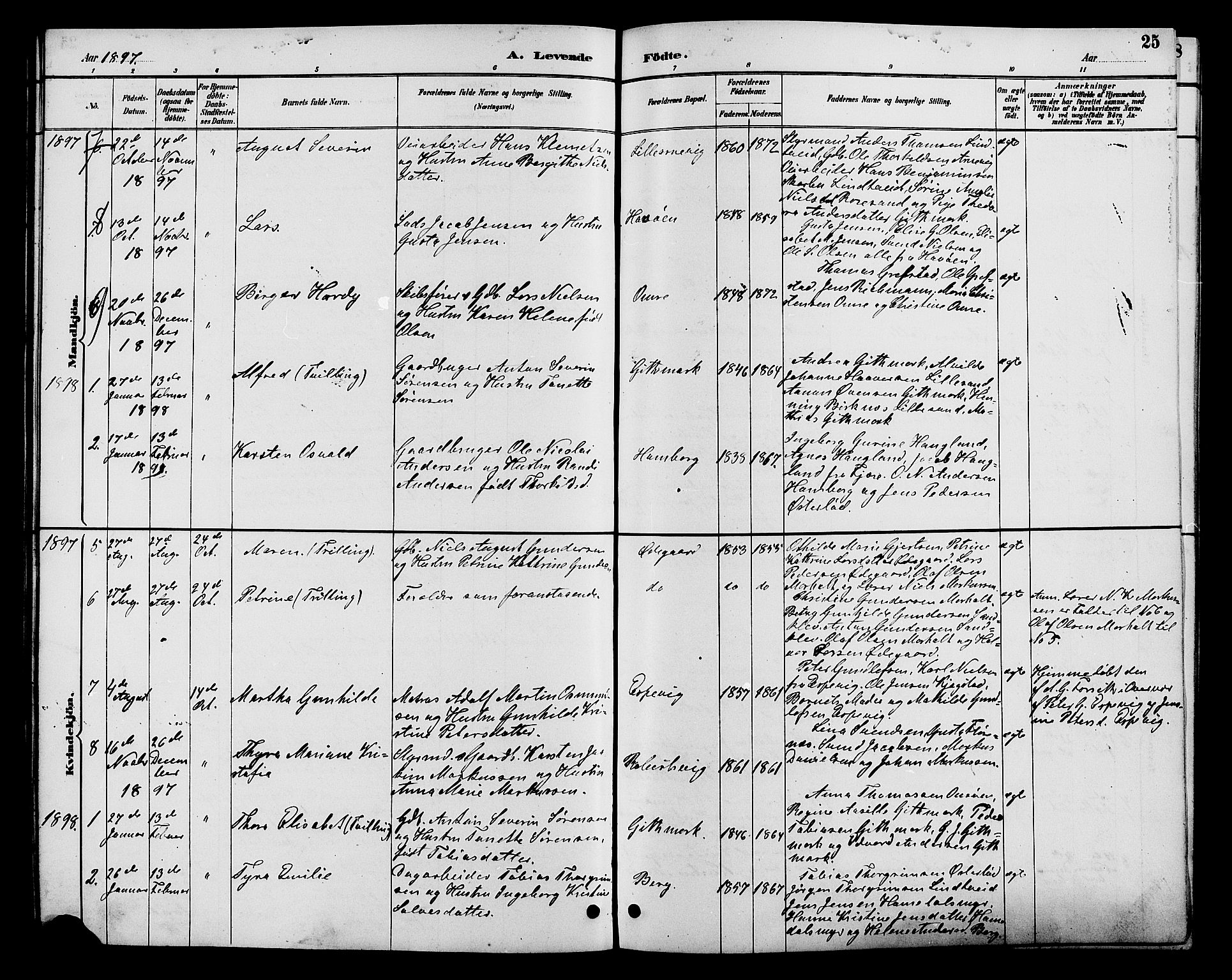 Hommedal sokneprestkontor, AV/SAK-1111-0023/F/Fb/Fba/L0004: Parish register (copy) no. B 4, 1885-1908, p. 25