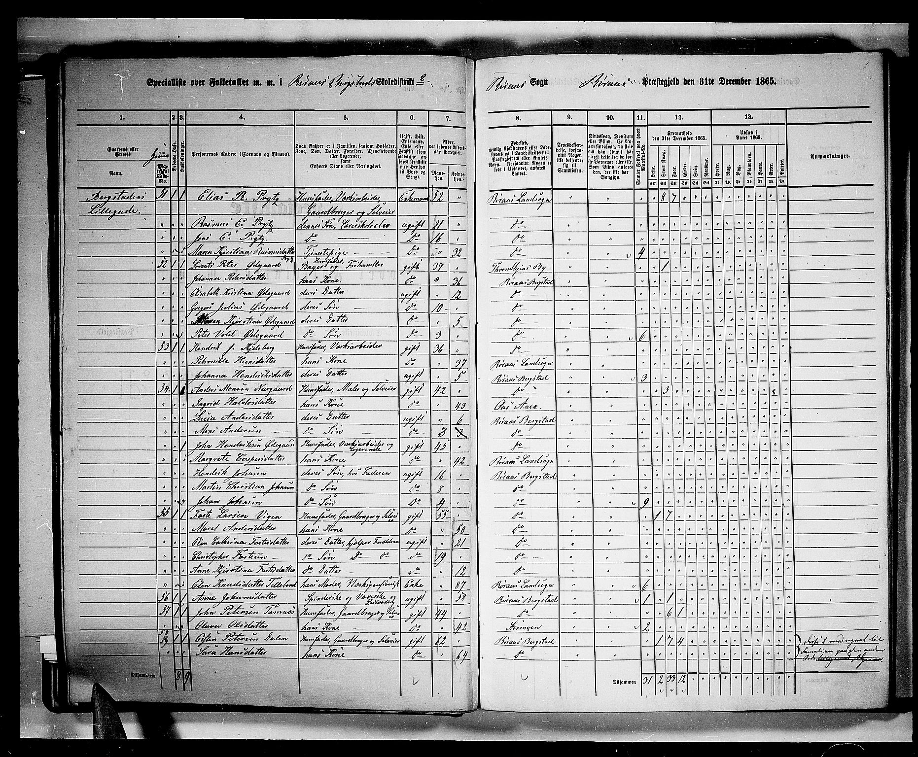 RA, 1865 census for Røros, 1865, p. 33