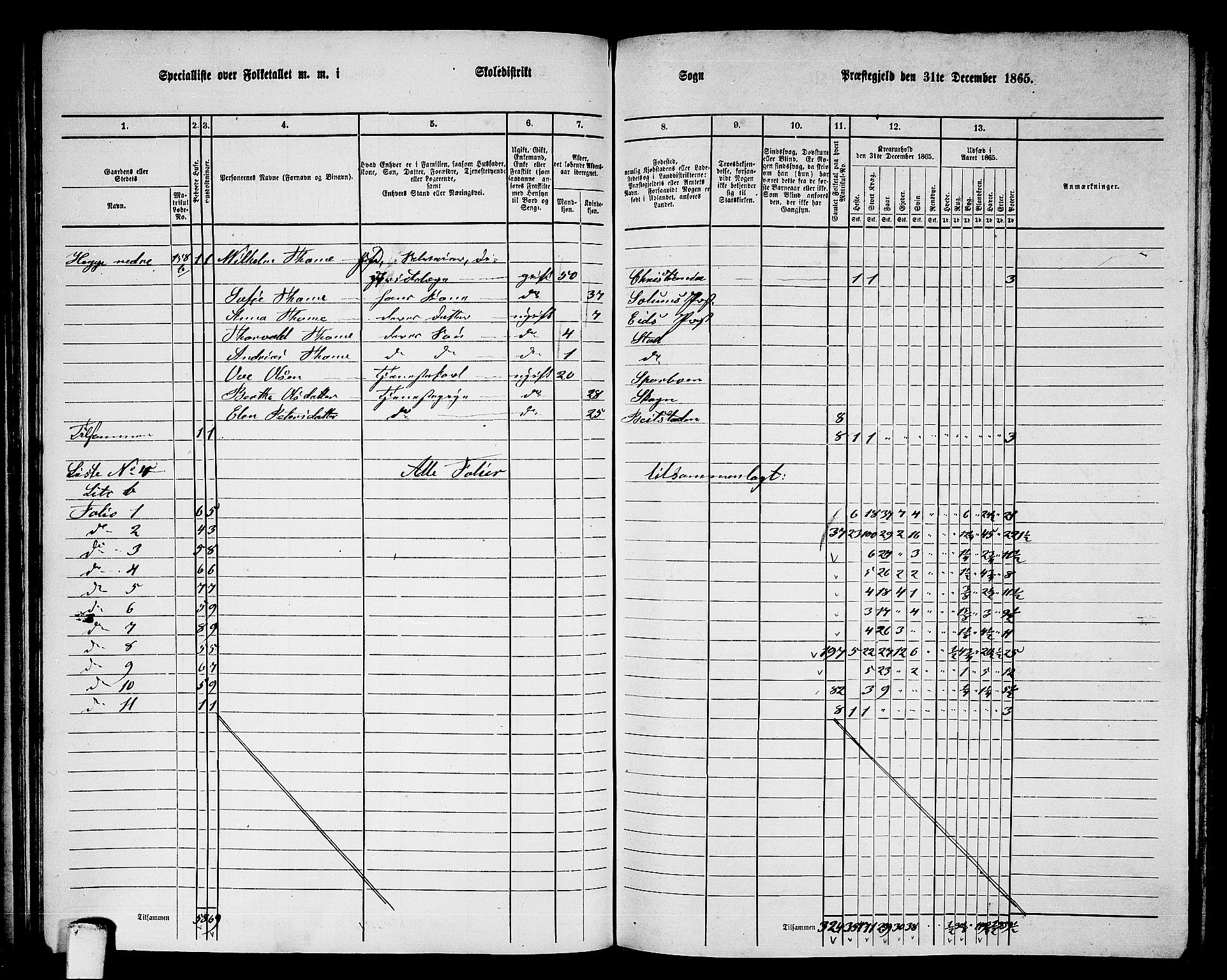 RA, 1865 census for Stod, 1865, p. 82