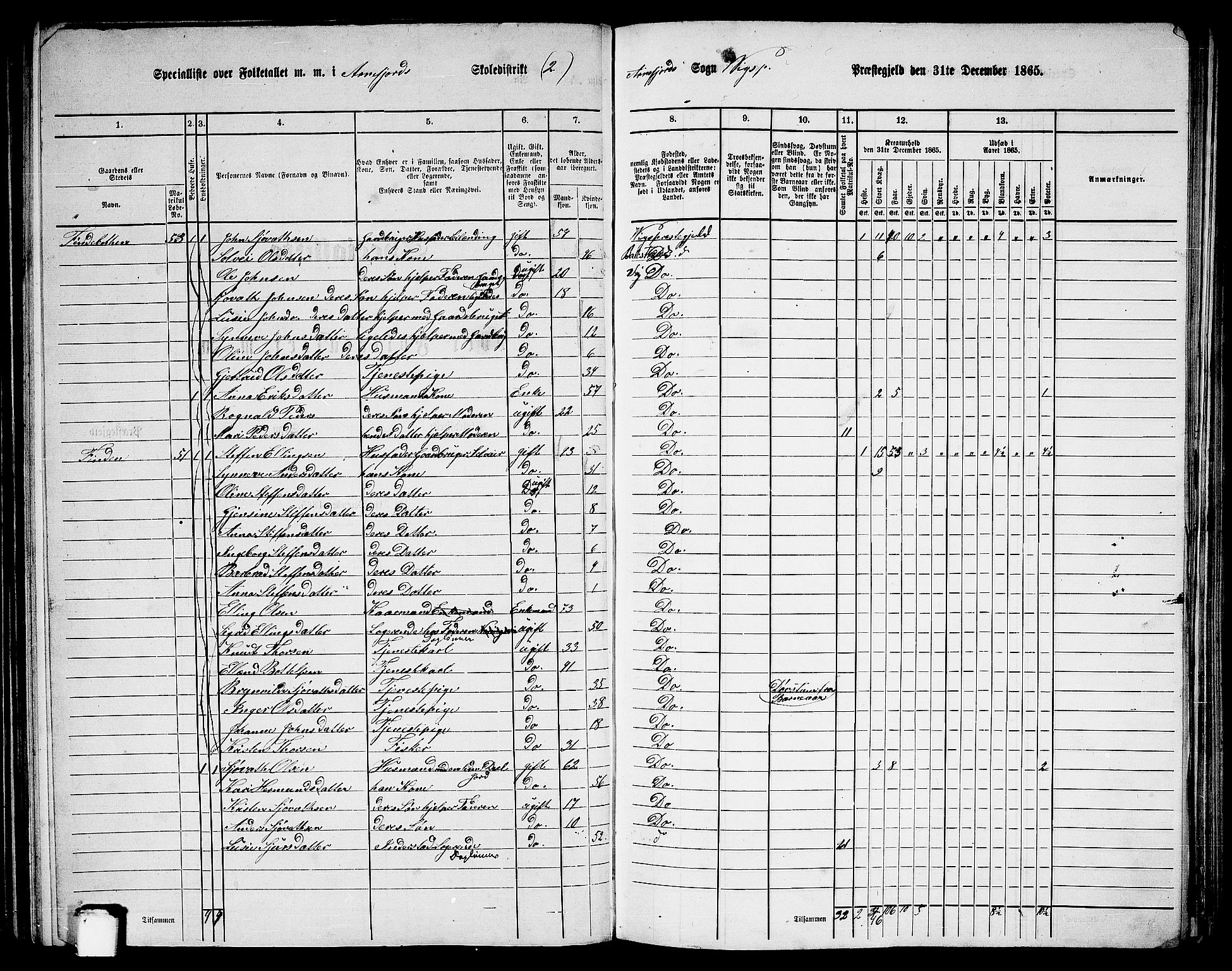 RA, 1865 census for Vik, 1865, p. 96