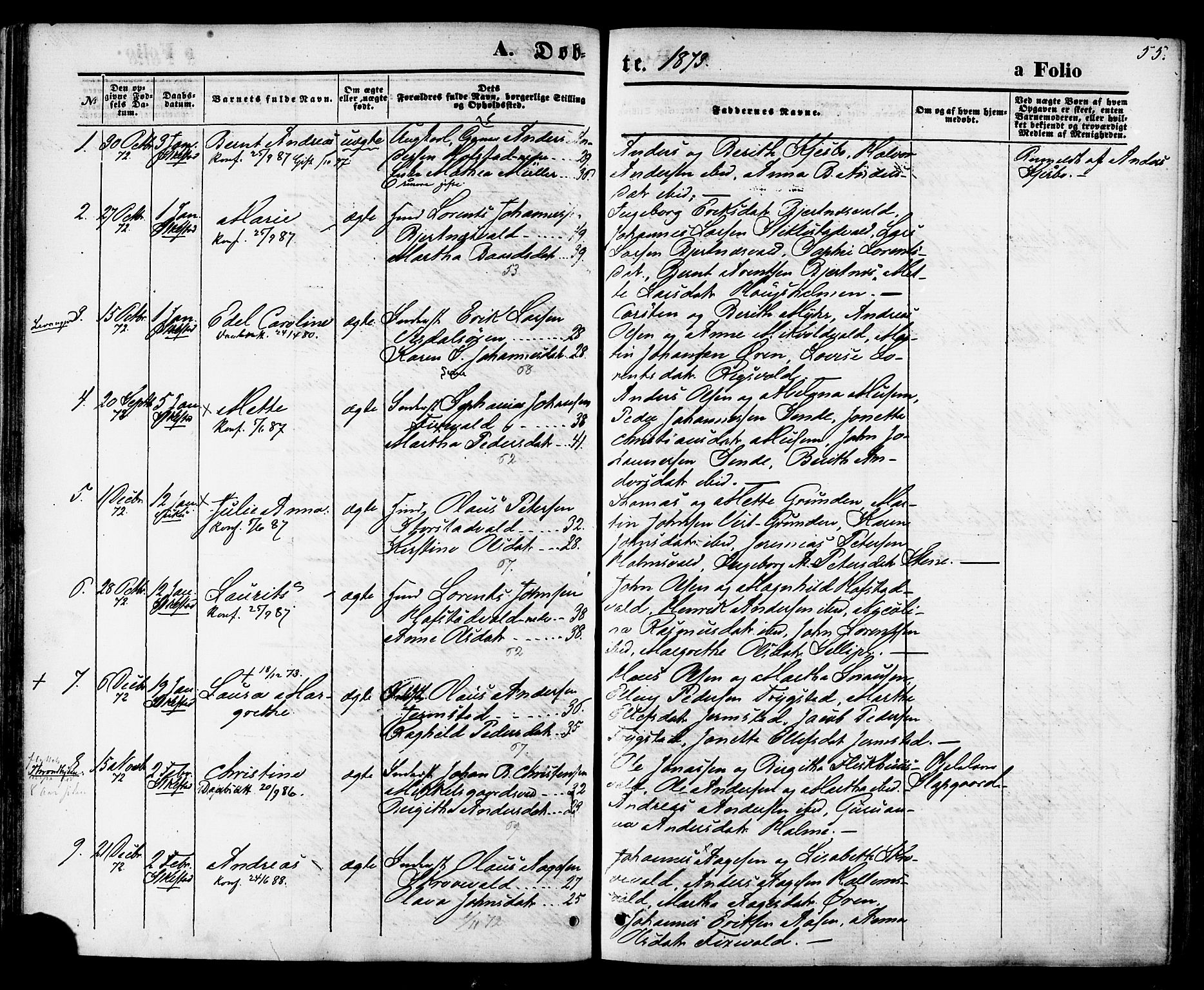 Ministerialprotokoller, klokkerbøker og fødselsregistre - Nord-Trøndelag, SAT/A-1458/723/L0242: Parish register (official) no. 723A11, 1870-1880, p. 55