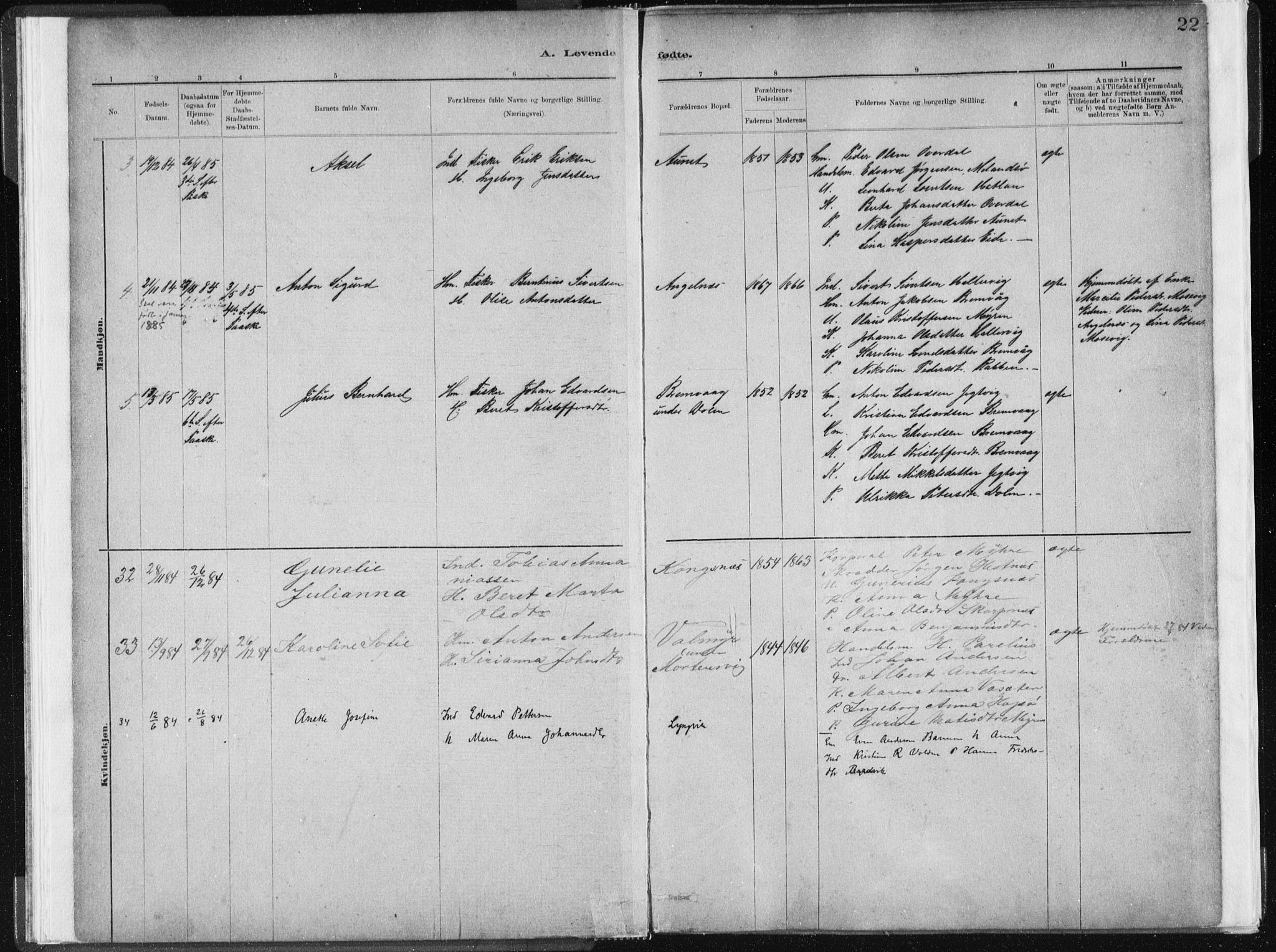 Ministerialprotokoller, klokkerbøker og fødselsregistre - Sør-Trøndelag, SAT/A-1456/634/L0533: Parish register (official) no. 634A09, 1882-1901, p. 22
