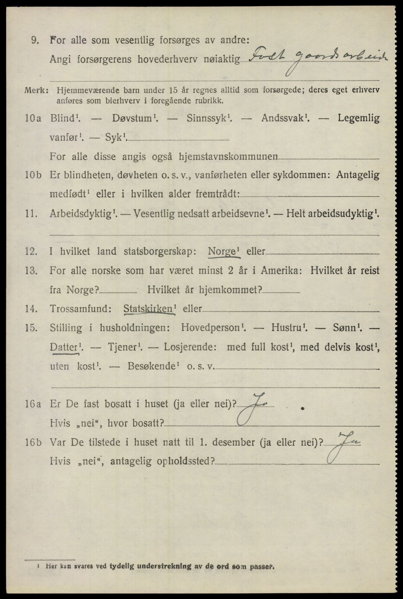 SAO, 1920 census for Nes, 1920, p. 21063