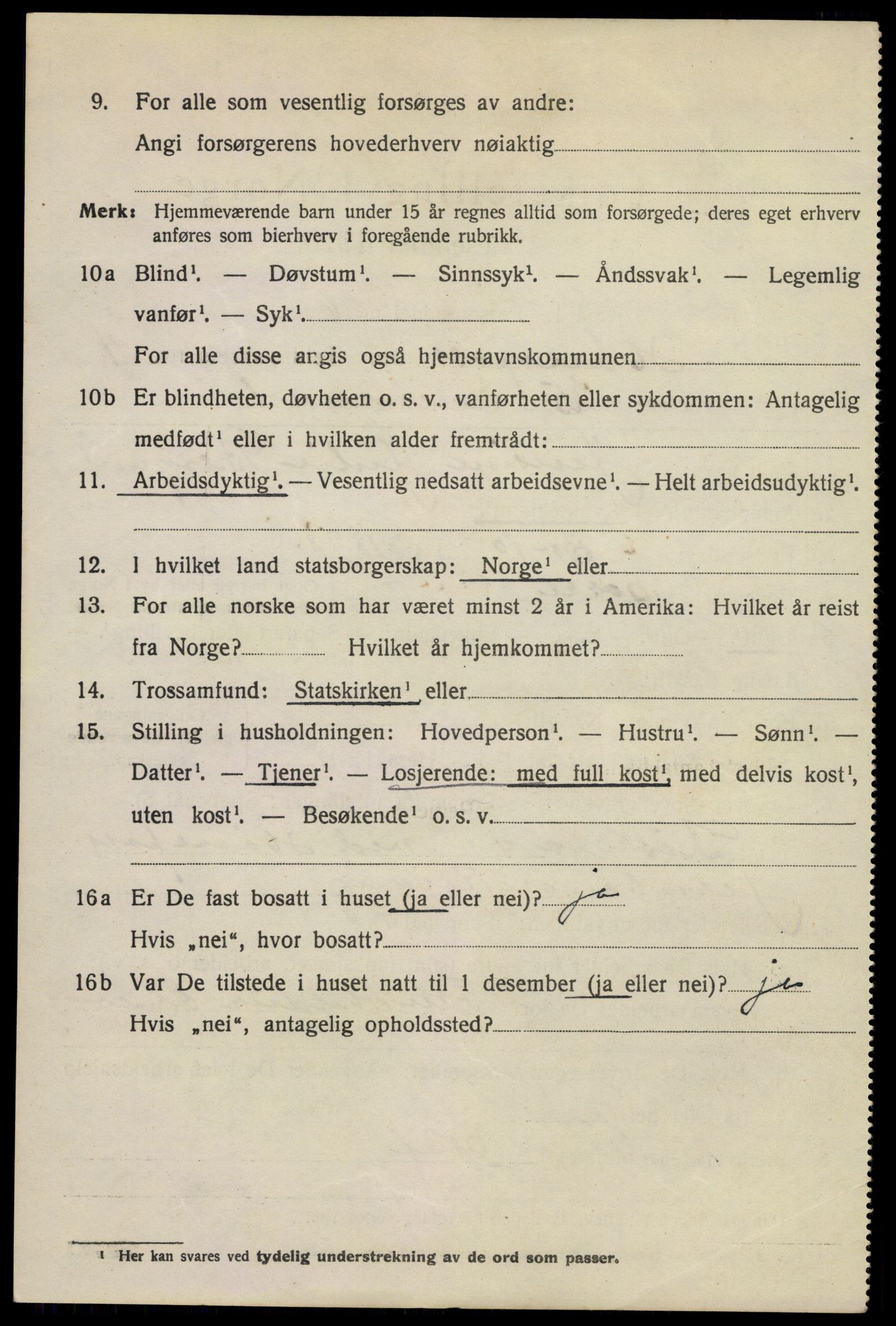 SAKO, 1920 census for Hønefoss, 1920, p. 6617