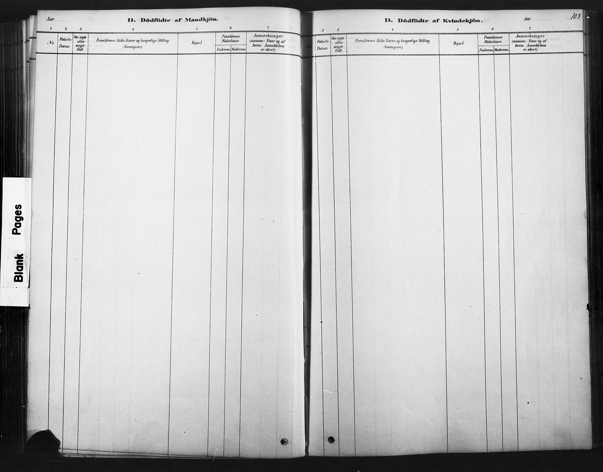 Åmot prestekontor, Hedmark, AV/SAH-PREST-056/H/Ha/Haa/L0012: Parish register (official) no. 12, 1878-1901, p. 103