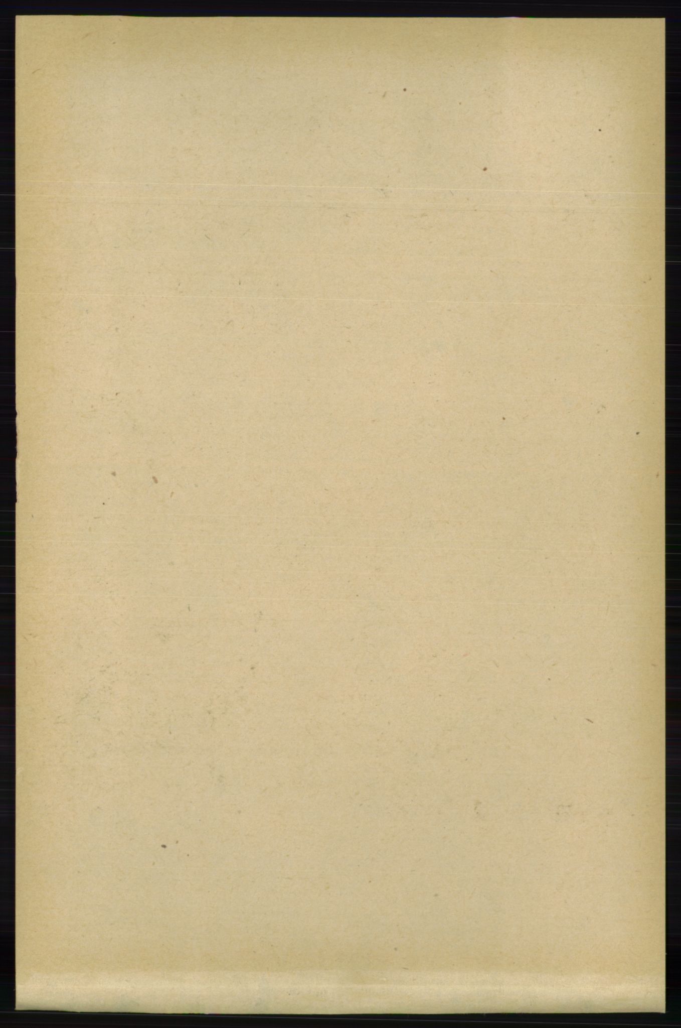 RA, 1891 Census for 0928 Birkenes, 1891, p. 1246