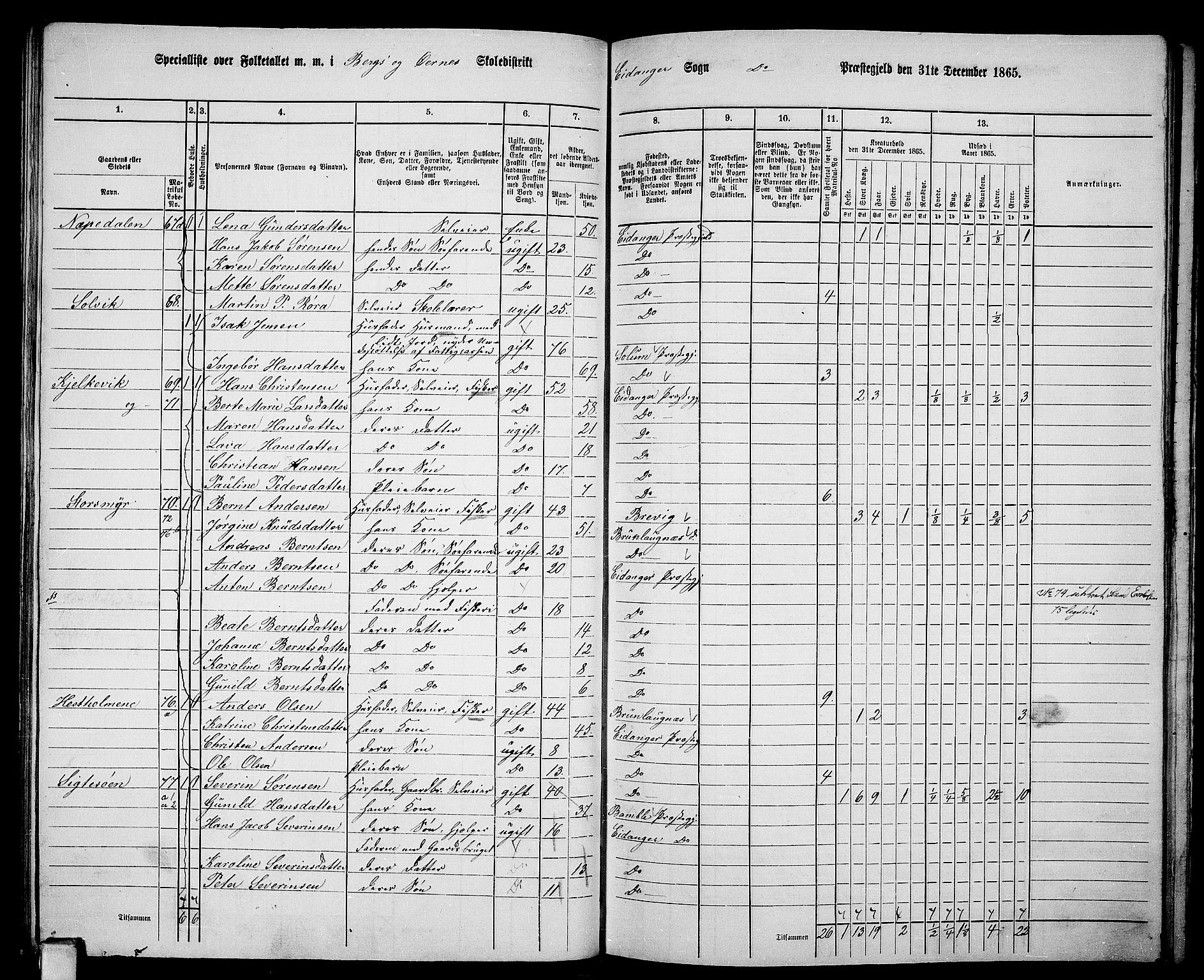 RA, 1865 census for Eidanger, 1865, p. 45