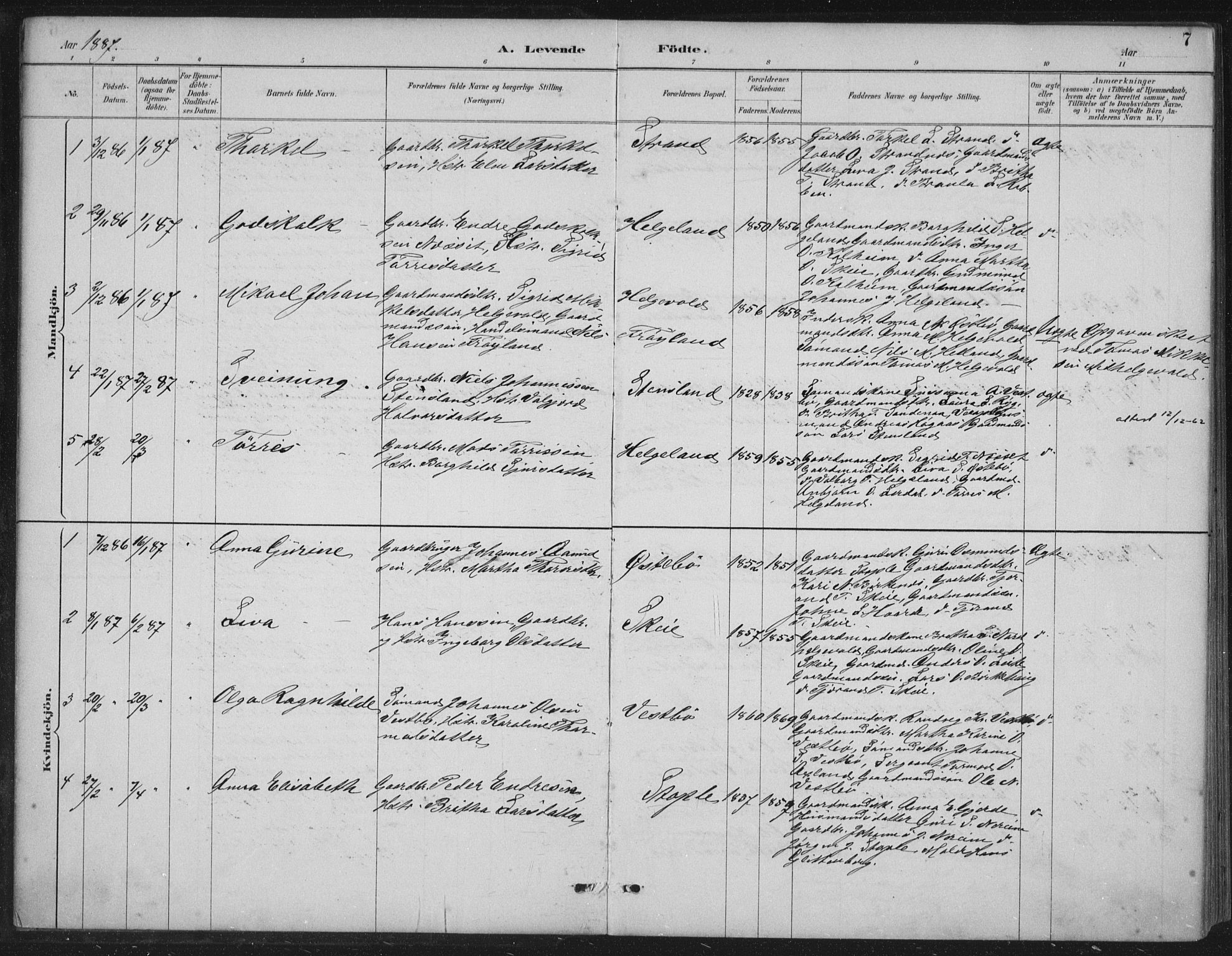 Vikedal sokneprestkontor, AV/SAST-A-101840/01/IV: Parish register (official) no. A 11, 1884-1933, p. 7