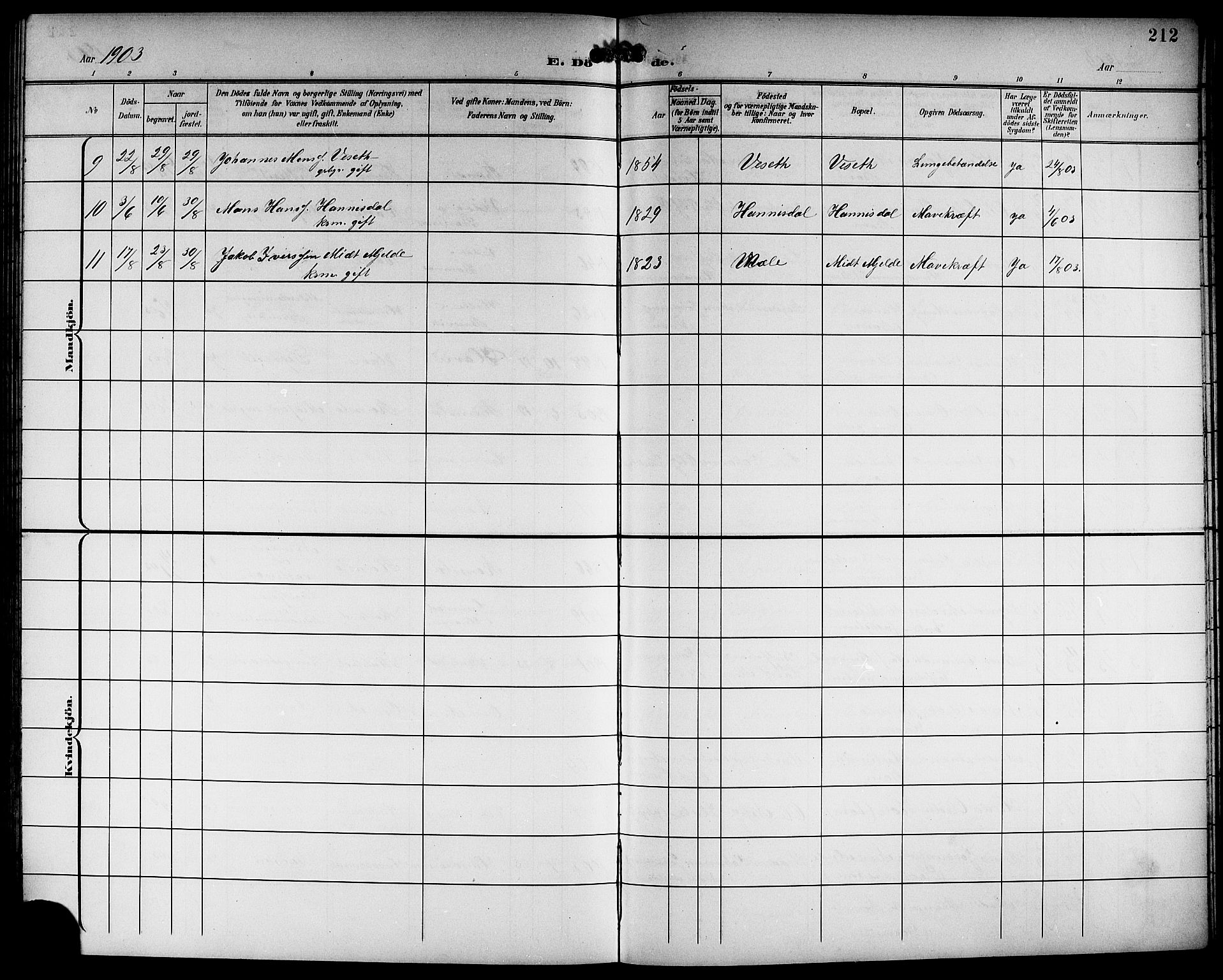 Haus sokneprestembete, AV/SAB-A-75601/H/Hab: Parish register (copy) no. B 4, 1900-1921, p. 212