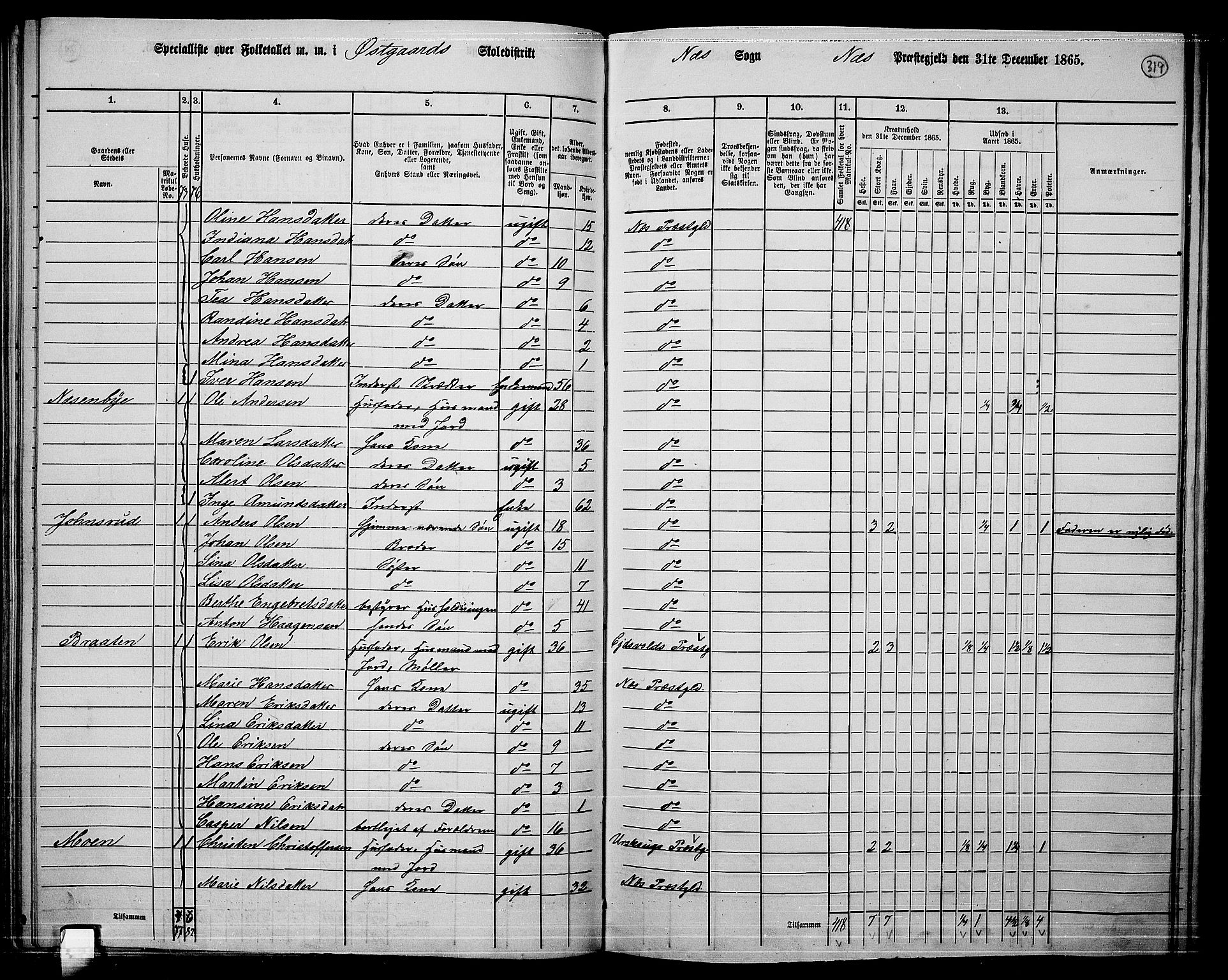 RA, 1865 census for Nes, 1865, p. 294