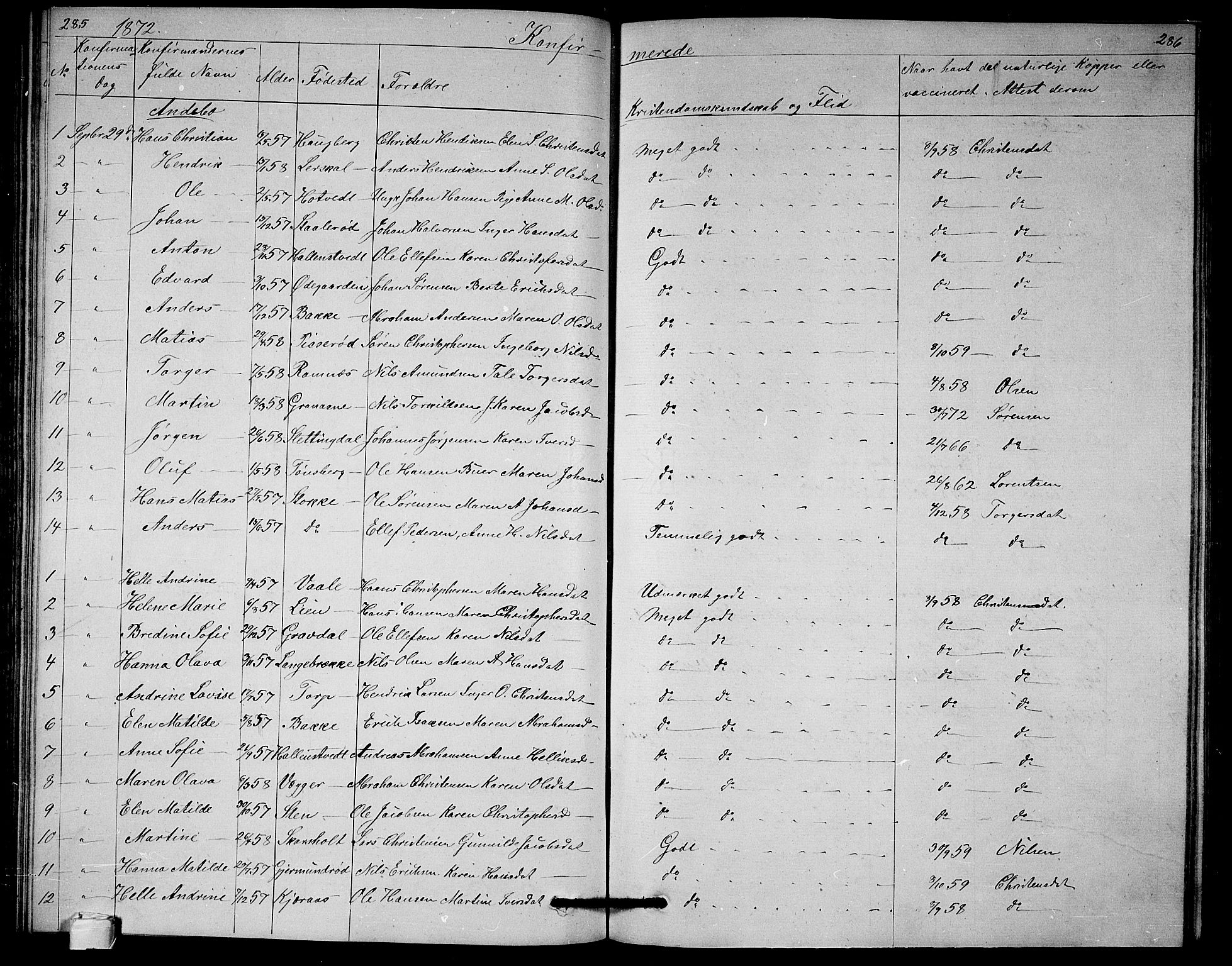 Andebu kirkebøker, AV/SAKO-A-336/G/Ga/L0004: Parish register (copy) no. I 4, 1868-1882, p. 285-286