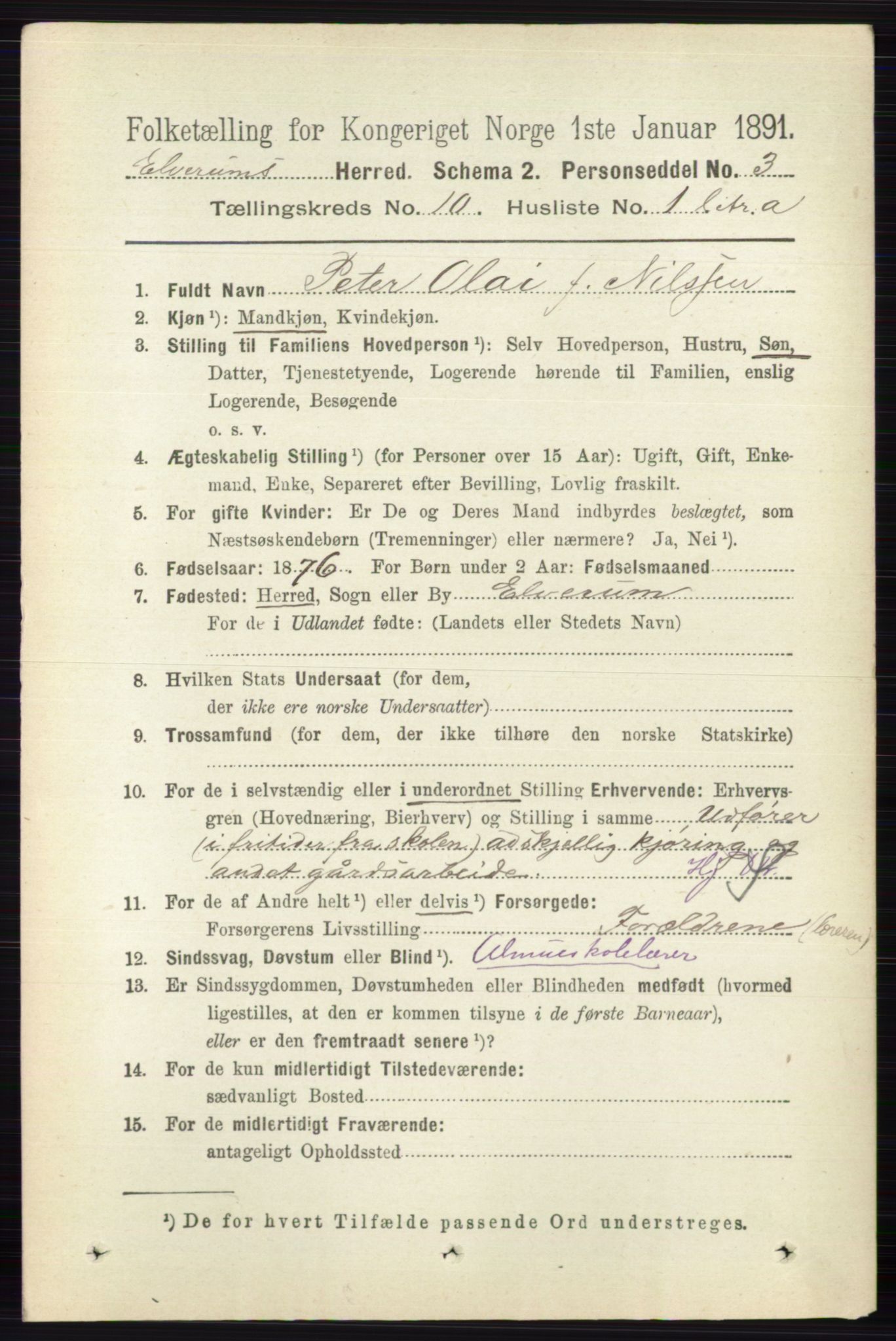 RA, 1891 census for 0427 Elverum, 1891, p. 8204