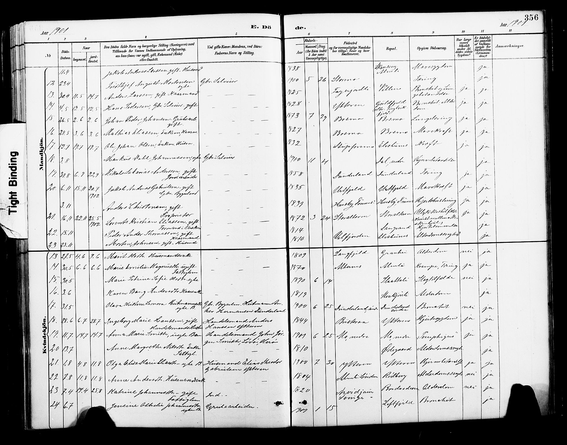 Ministerialprotokoller, klokkerbøker og fødselsregistre - Nordland, AV/SAT-A-1459/827/L0421: Parish register (copy) no. 827C10, 1887-1906, p. 356