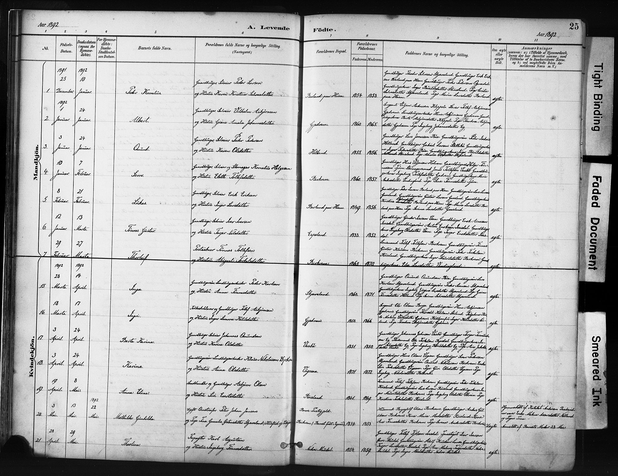 Helleland sokneprestkontor, AV/SAST-A-101810: Parish register (official) no. A 9, 1887-1908, p. 25