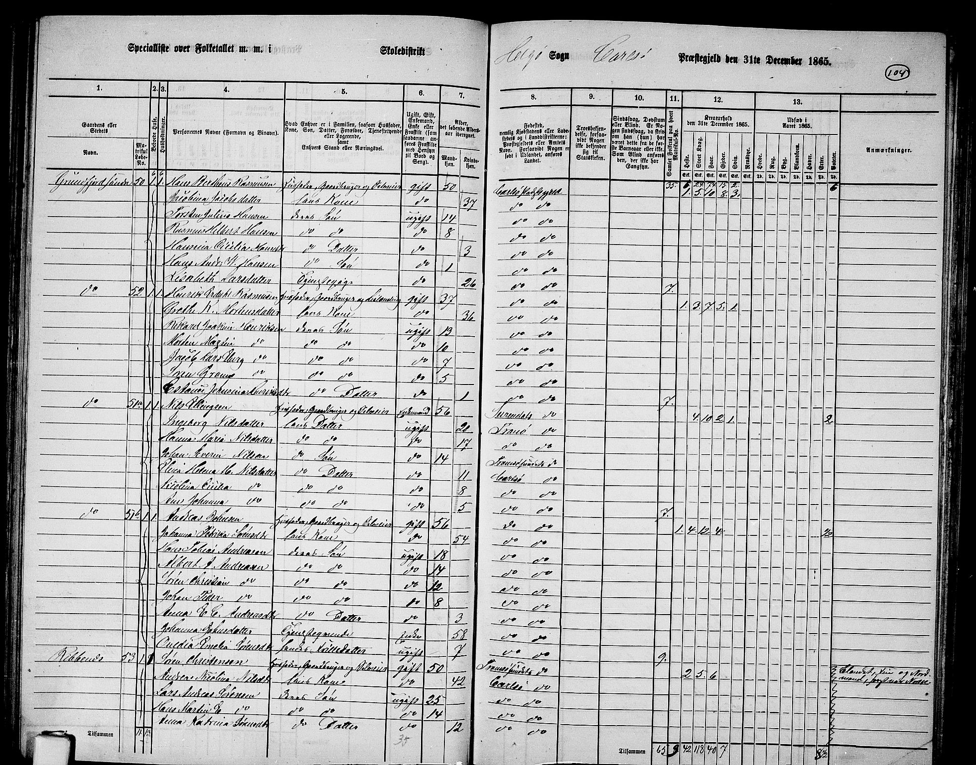 RA, 1865 census for Karlsøy, 1865, p. 101