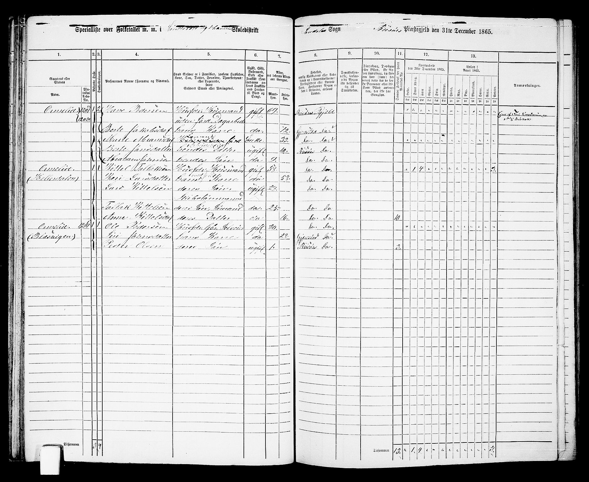 RA, 1865 census for Risør/Søndeled, 1865, p. 65